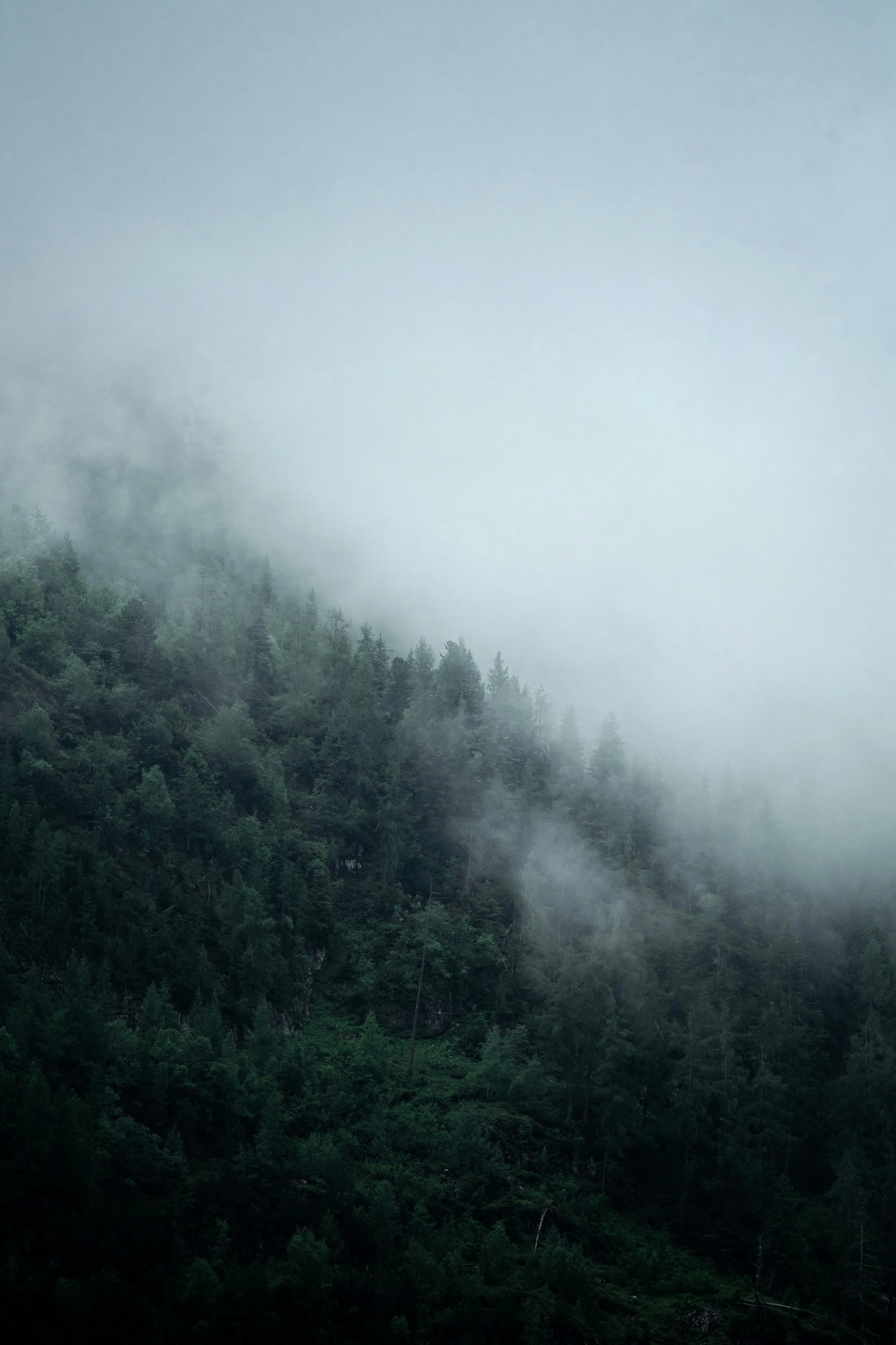 Is Your Leadership Style Fit for the Future Or Just a Relic of the Past?