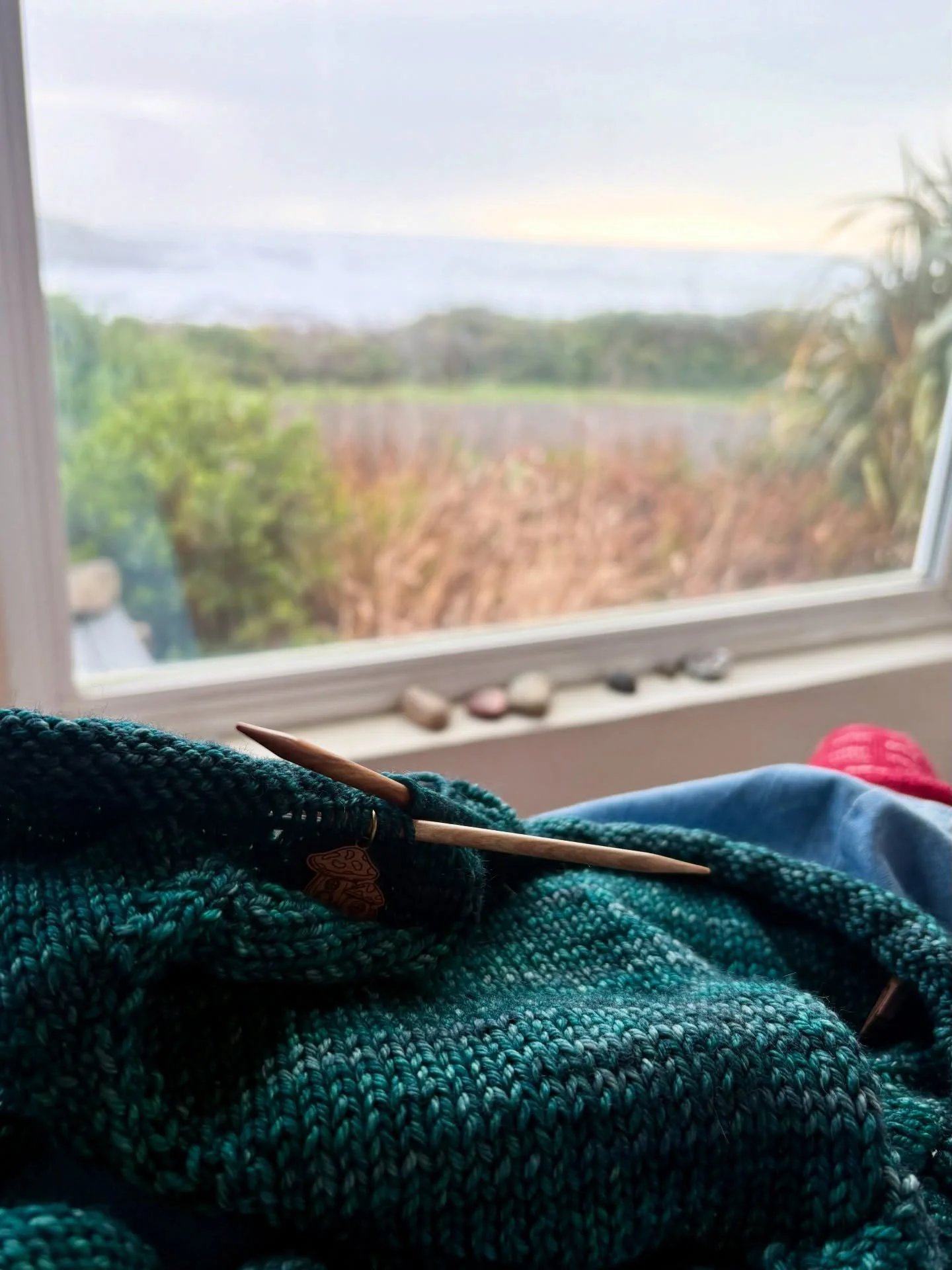 The view from my needles today 😍 #novemberknittingchallenge Day 22

Pattern: Men&rsquo;s Classic Raglan Pullover by Jane Richmond
Yarn: Malabrigo Rios in Pines