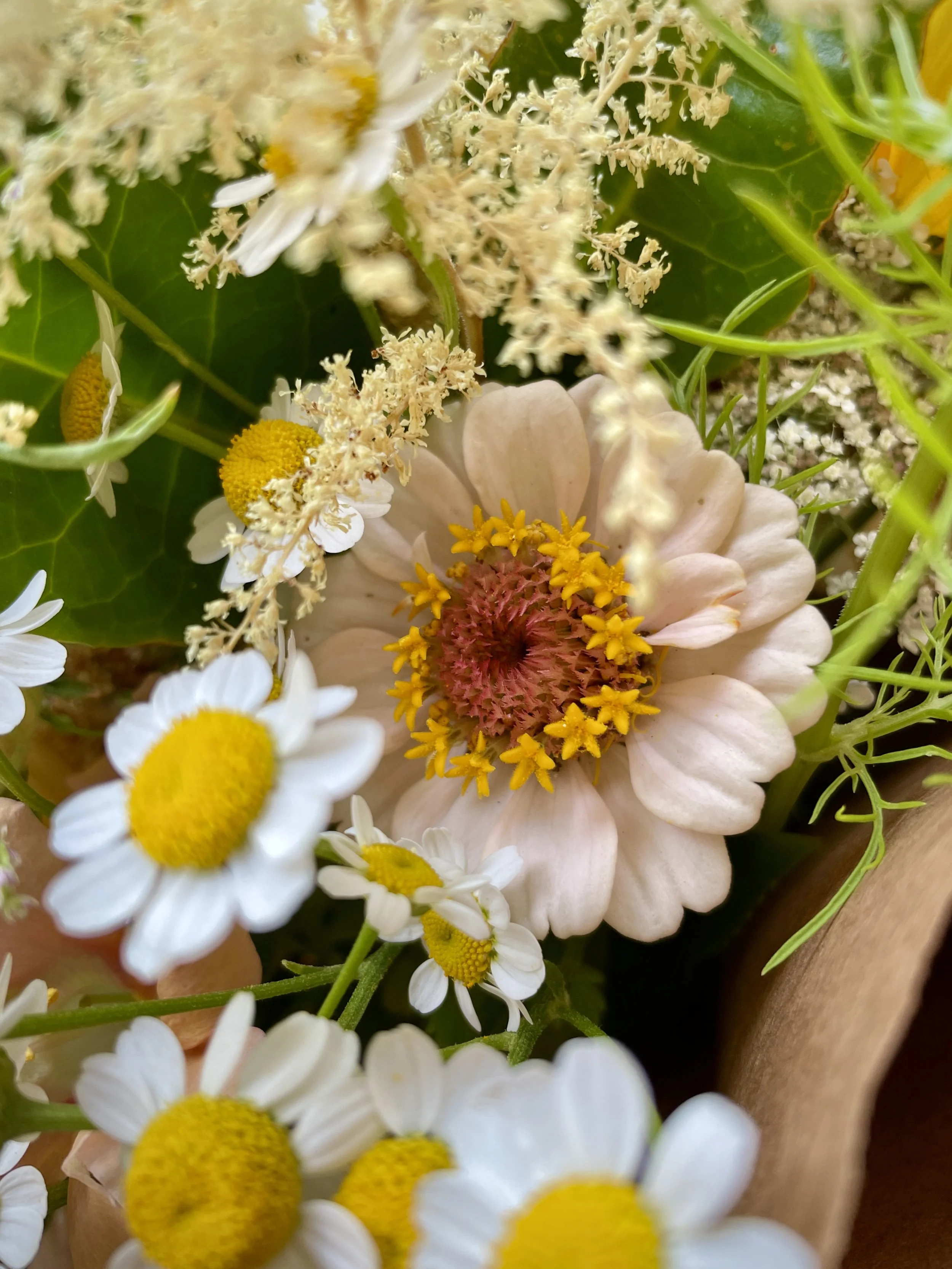 Summer Bouquet Subscription