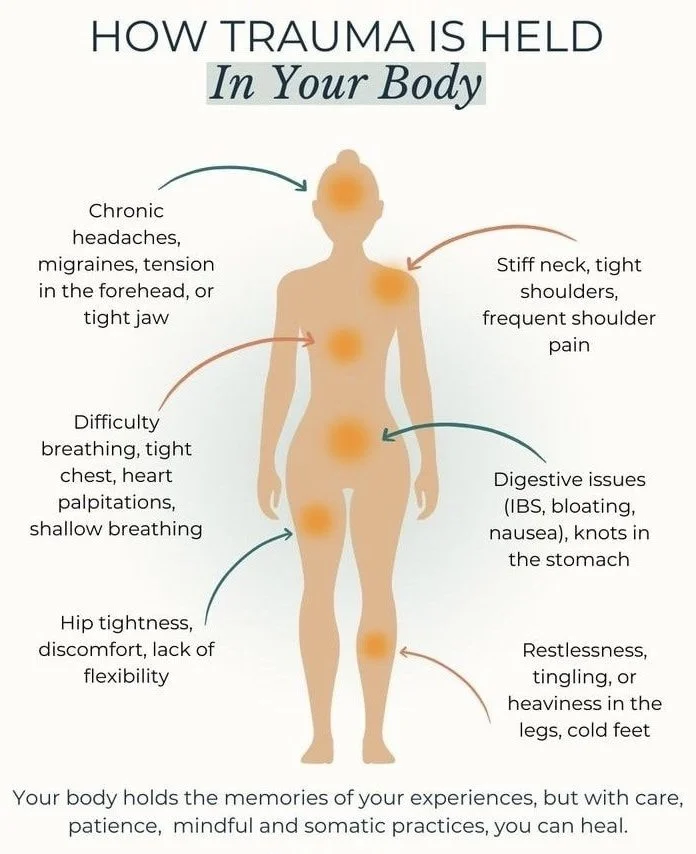 Diagram showing how trauma is held in the body with labeled areas: head with migraines or jaw tension, neck and shoulders with stiffness, chest with breathing difficulties, stomach with digestive issues, hips with tightness, and legs with restlessness or cold feet.
