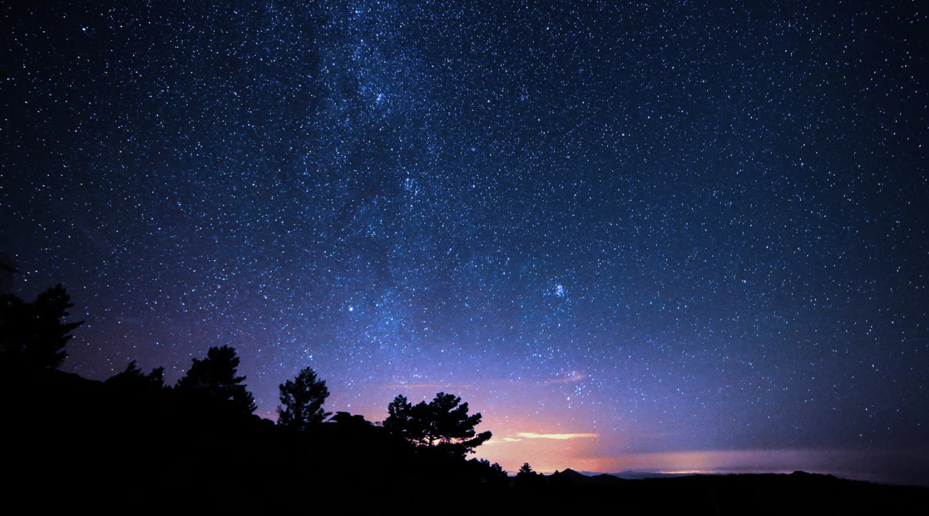 Night sky filled with stars over a silhouetted landscape with trees.