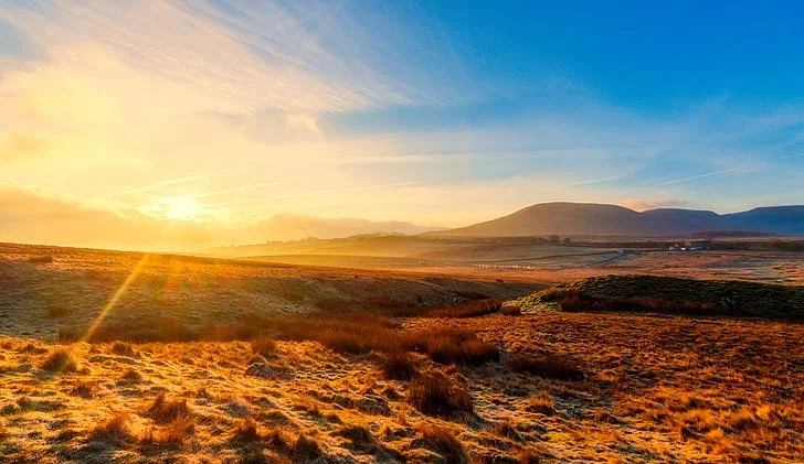 Yorkshire Live