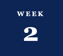 Blue background with white text reading "Week 2"