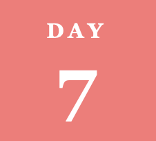 Pink background with white text reading 'DAY 7'.