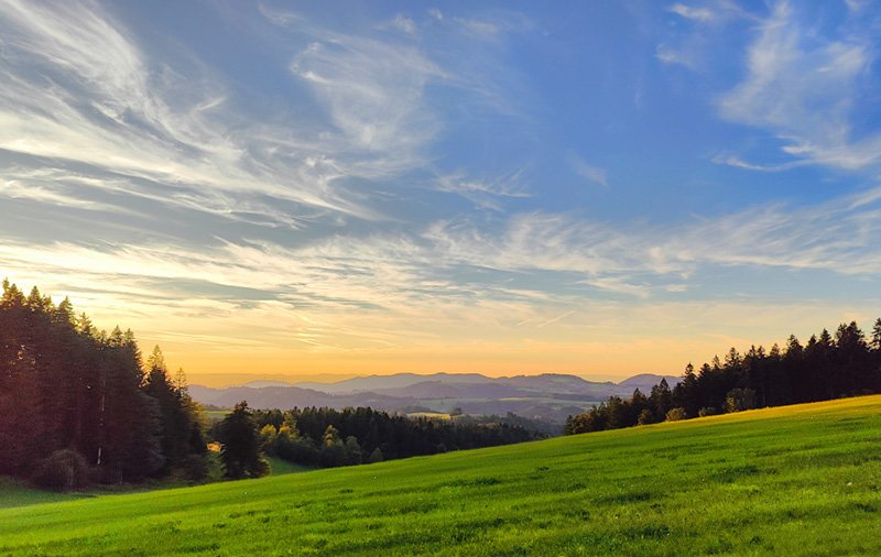 Tierarztpraxis-Zapf Ausblick auf den Schwarzwald