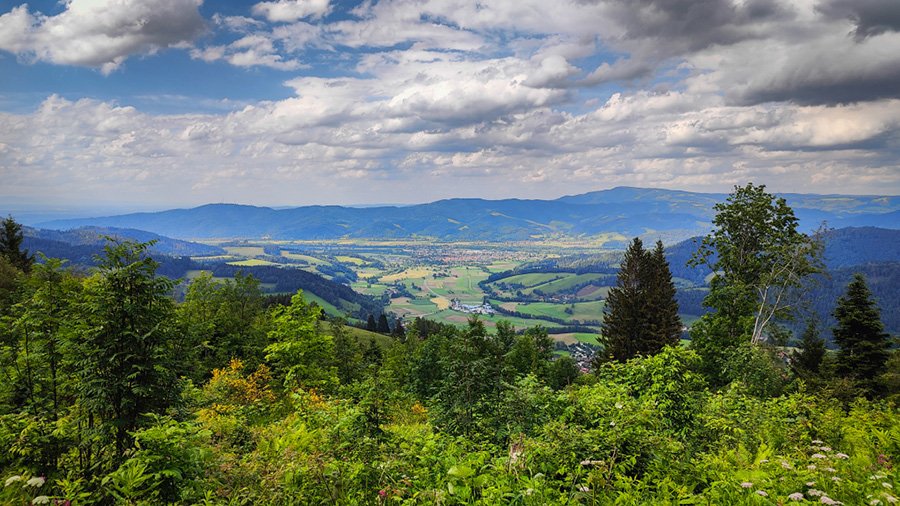 Tierarztpraxis-Zapf Ausblick ins Dreistamtal Kirchzarten