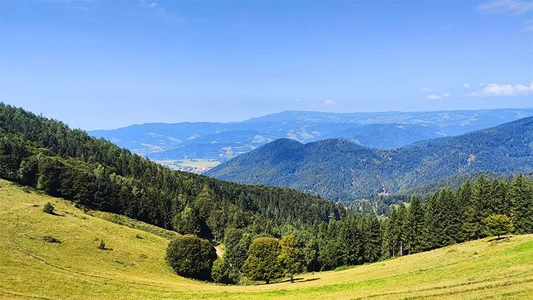 Tierarztpraxis-Zapf_Dreisamtal(2).jpg