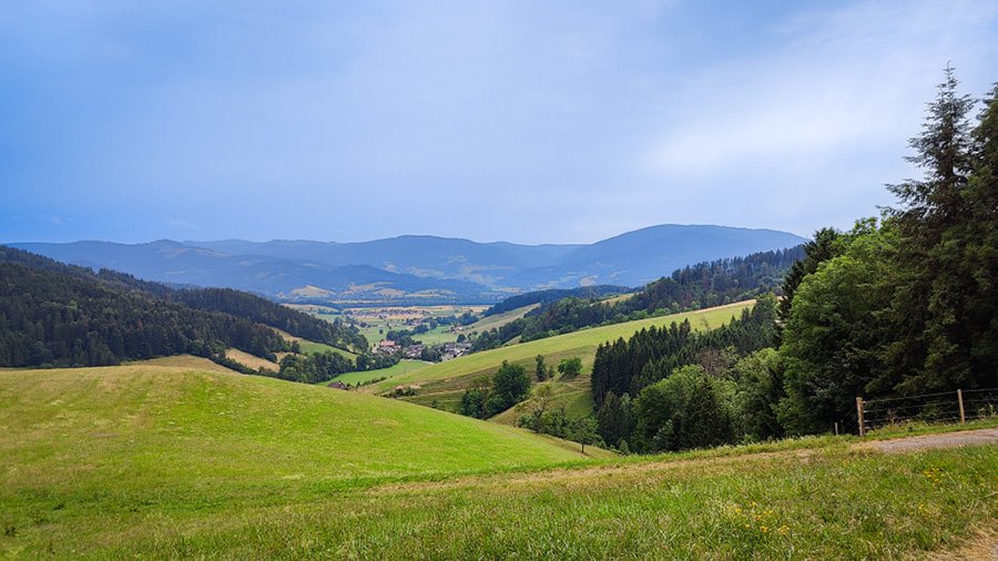 Tierarztpraxis-Zapf Ausblick ins Dreistamtal Kirchzarten