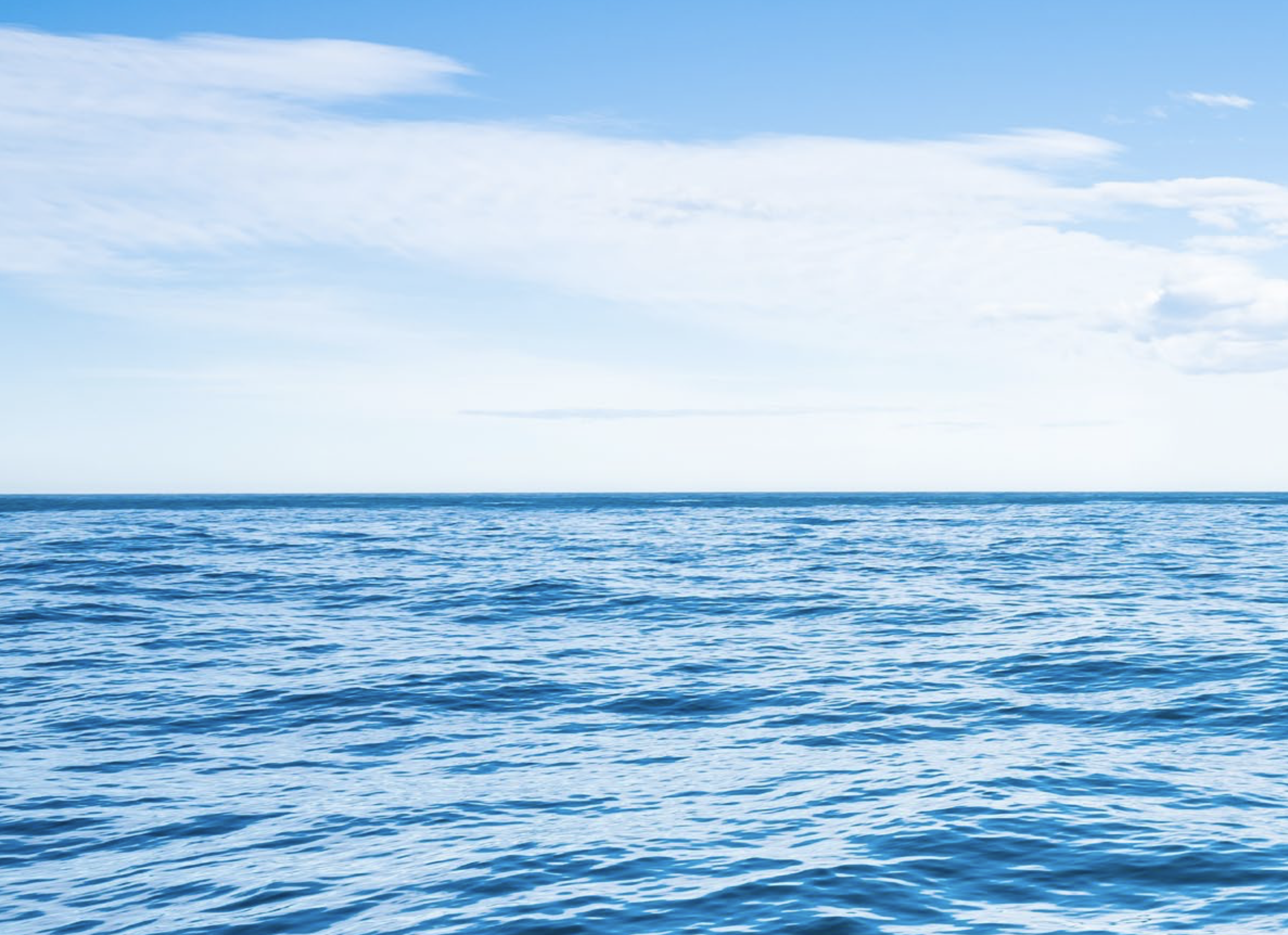 Screen Shot 2025-12-23 at 16.12.58.png