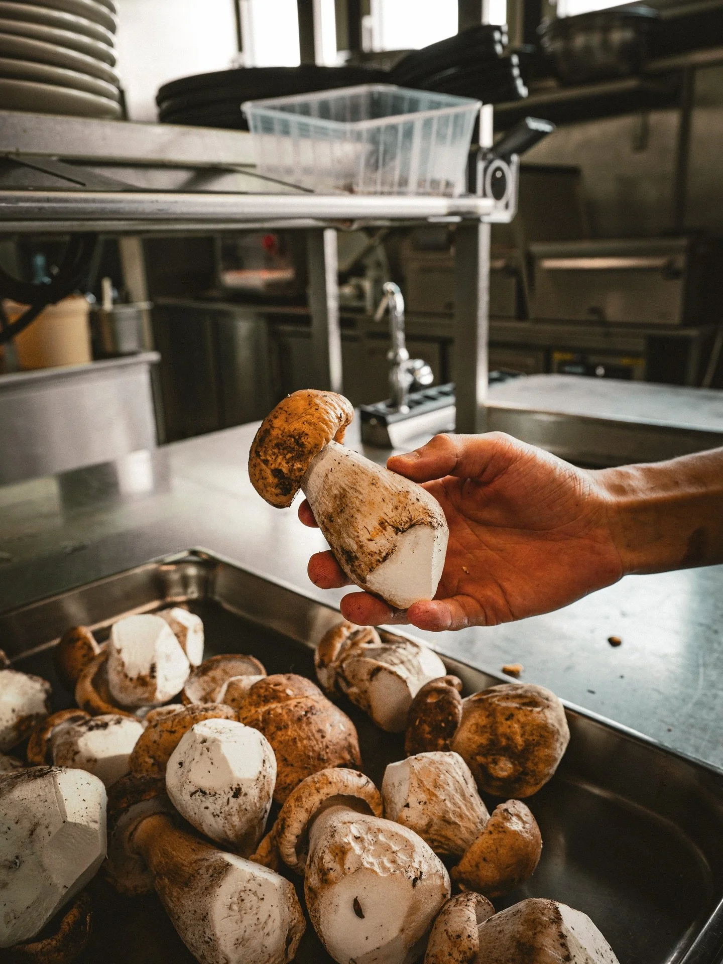 Saveurs d’Automne 🍂 
Nos poêlées de Girolles & de Cèpes sont à déguster à la carte 🍽️🍄‍🟫
#uinisrestaurant #larochelle #ilederé #ilederétourisme #bistrot #champignons🍄 #saveur