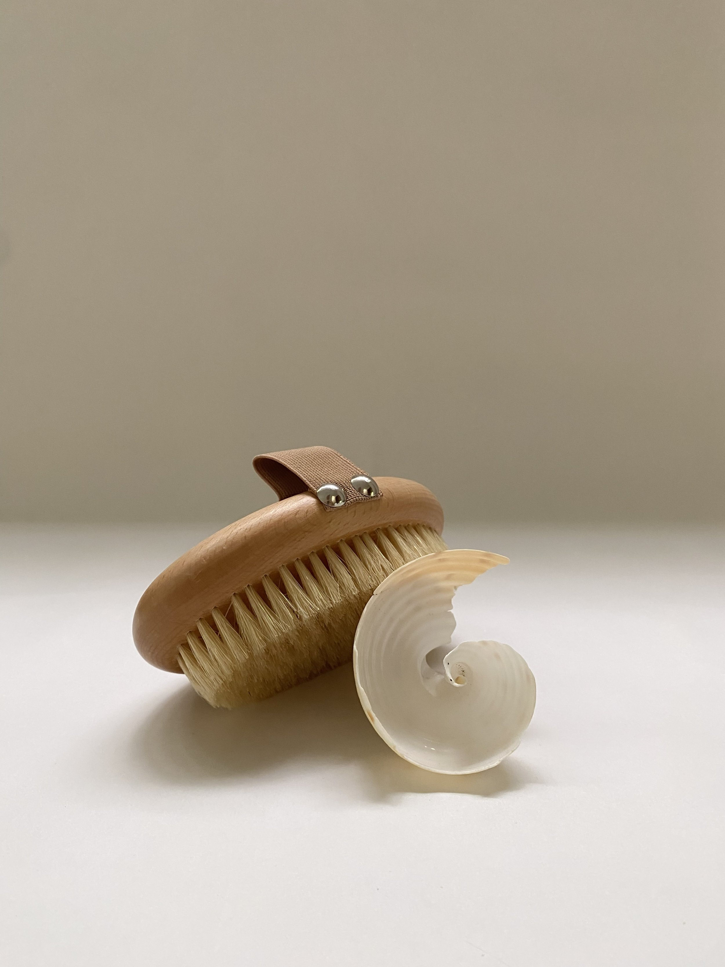 Dry Body Brush