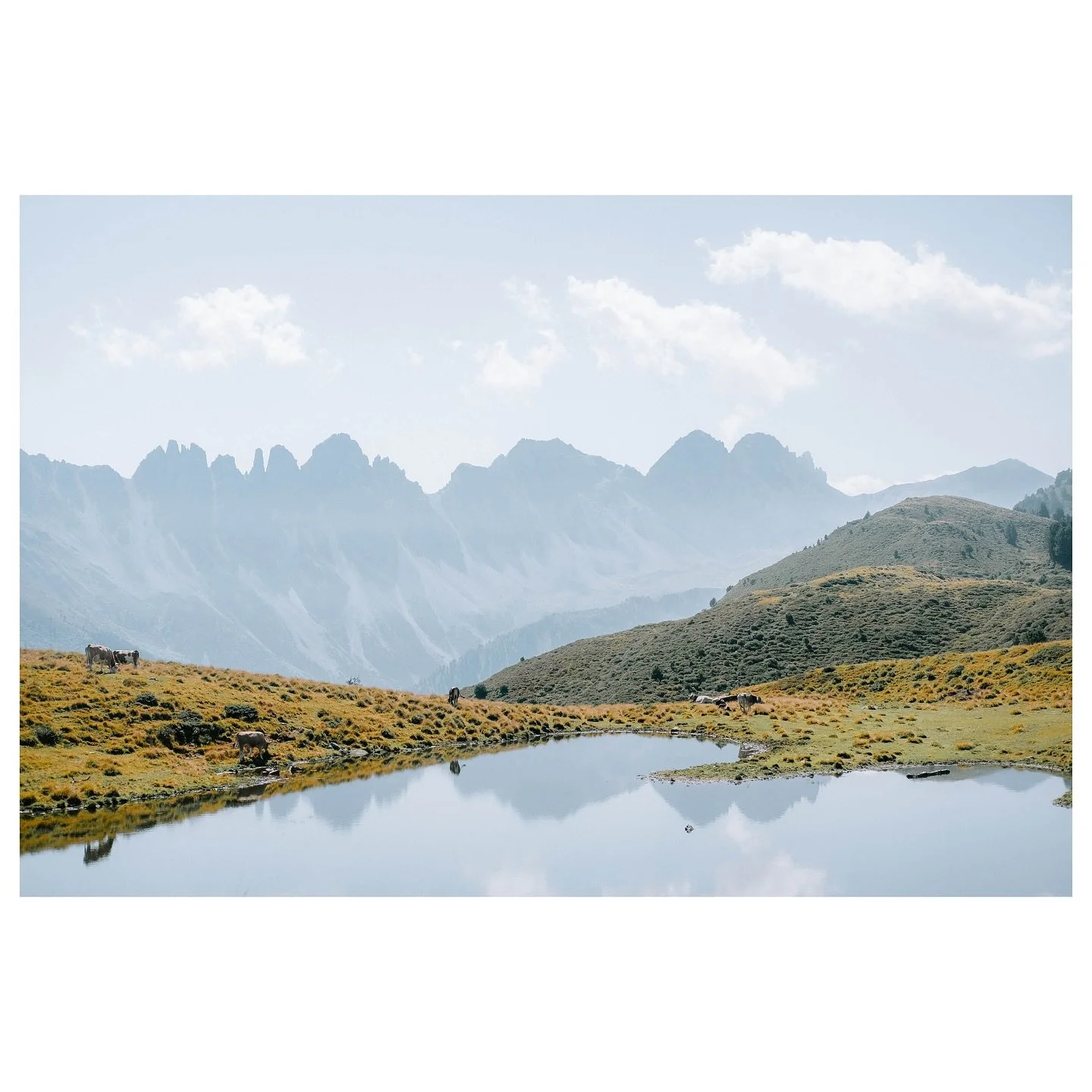 Salfeinersee part 2

Shot on Fuji X-H1

#mountain #lake #reflection #cows #hike #portrait #travel #austria #travelphotography #photography #photographer #fujifilm #fujixseries