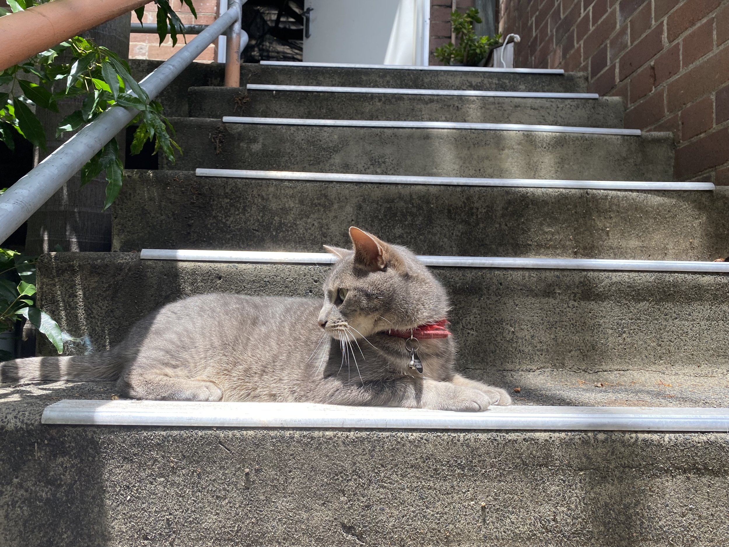 IMG_0024.jpeg
