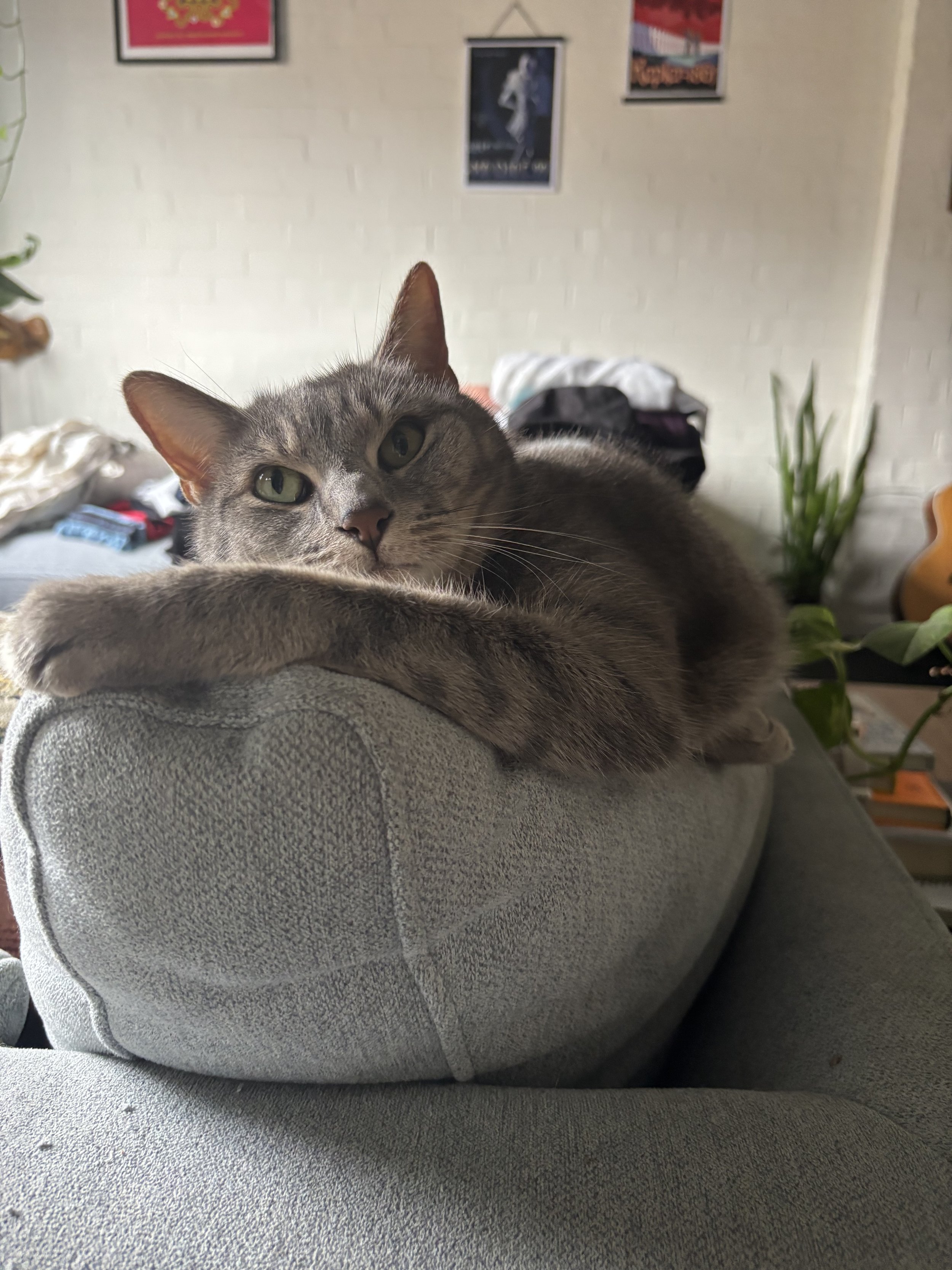 IMG_0093.jpeg