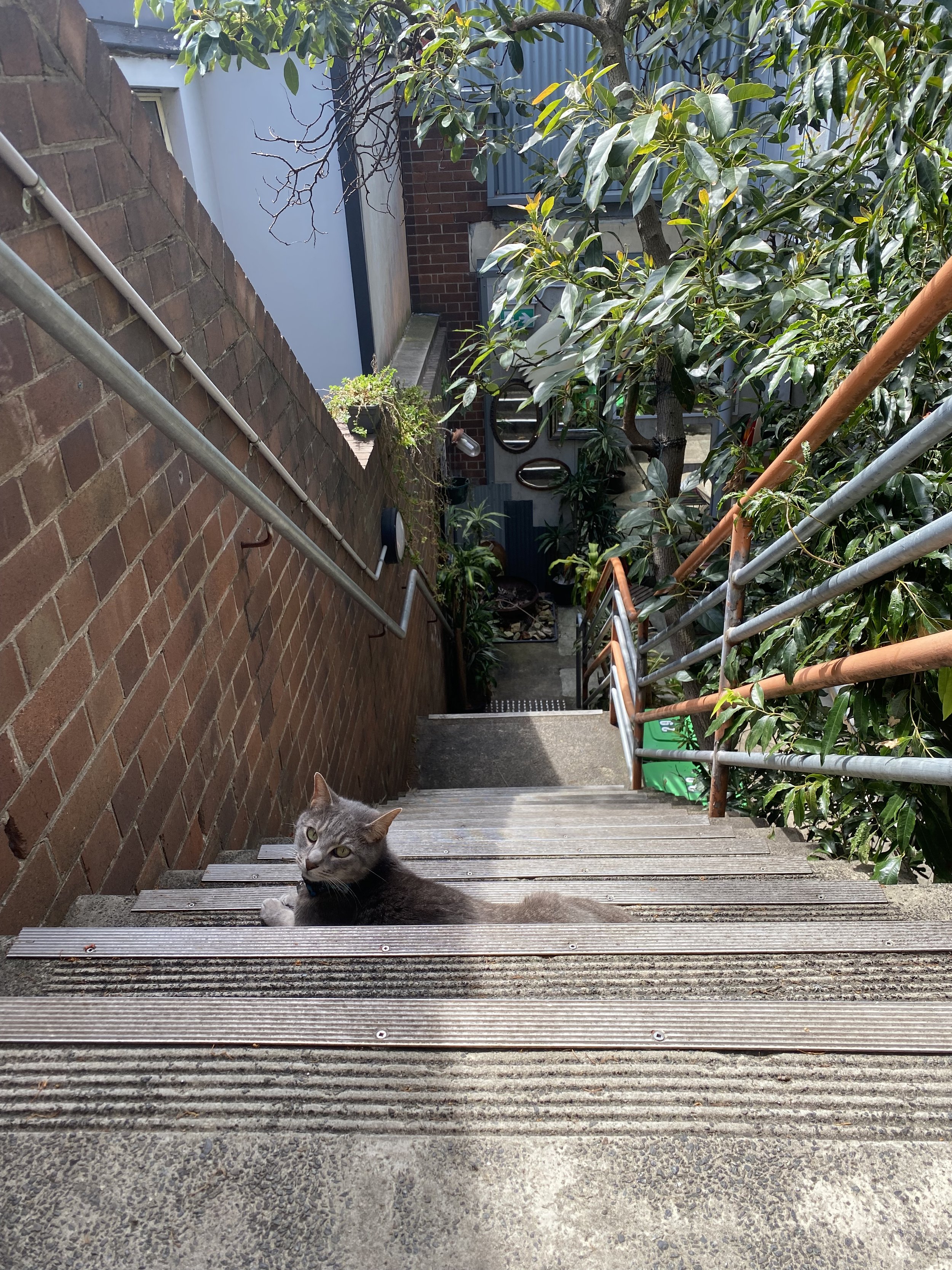 IMG_7071.jpeg