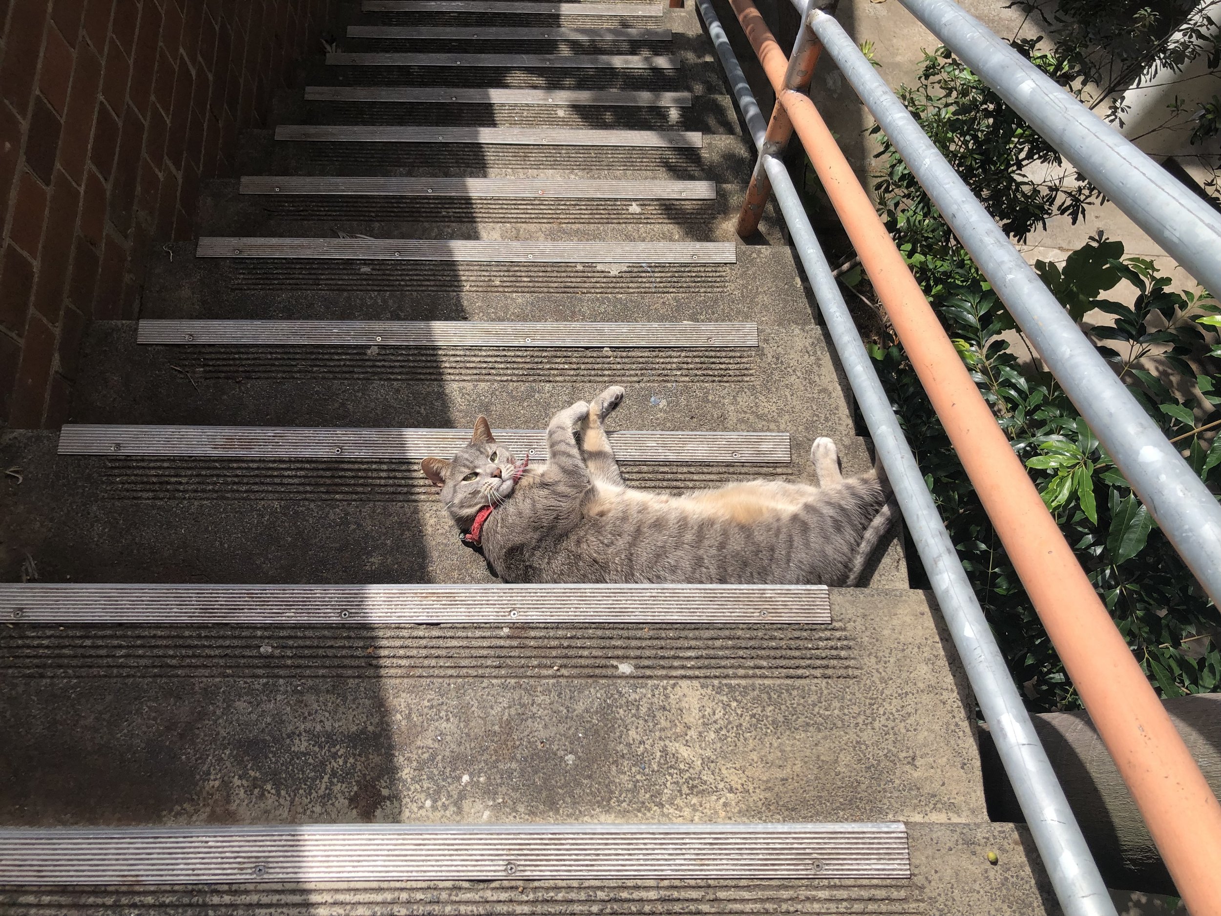IMG_0470.jpeg