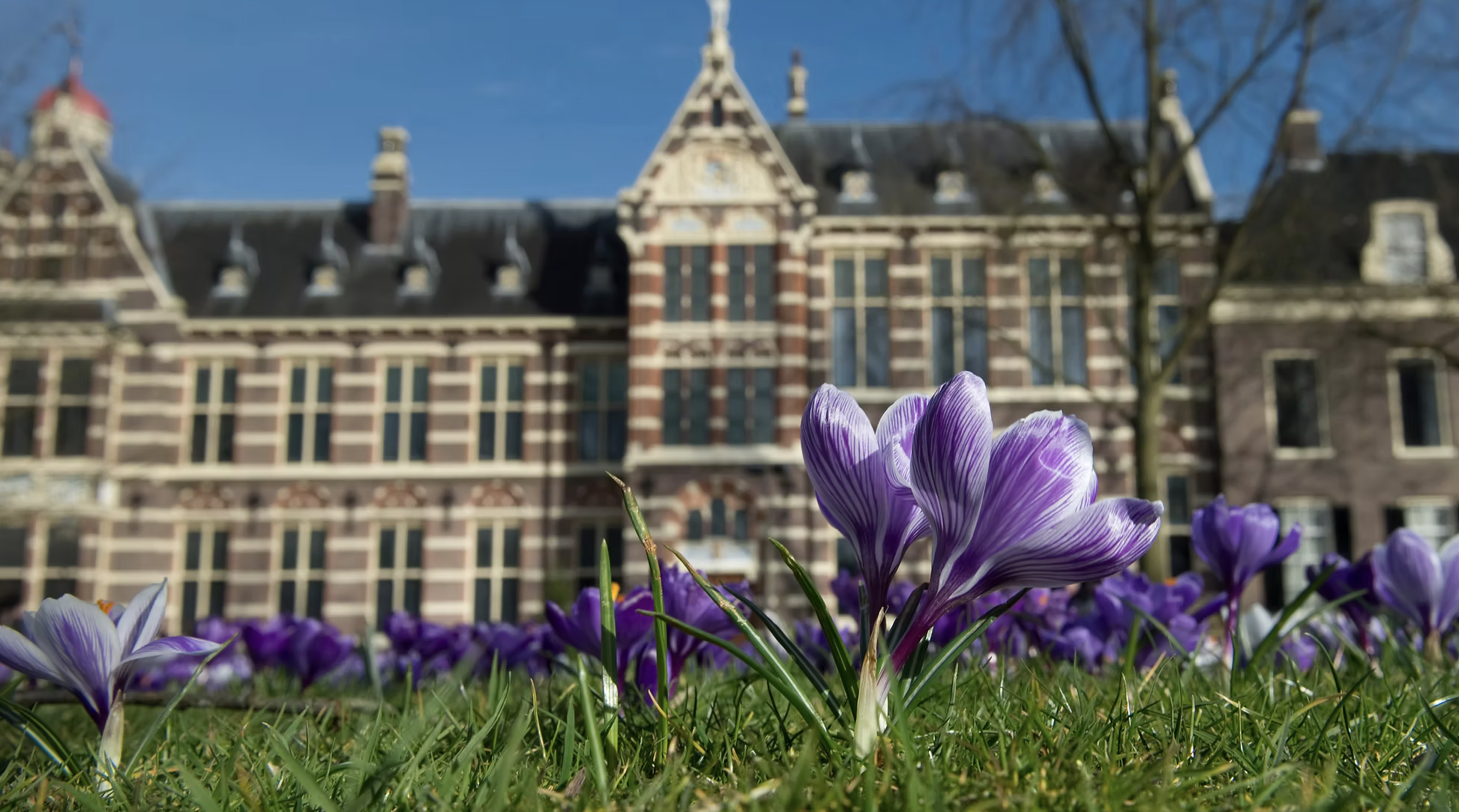 Scherm­afbeelding 2025-12-08 om 16.16.24.png