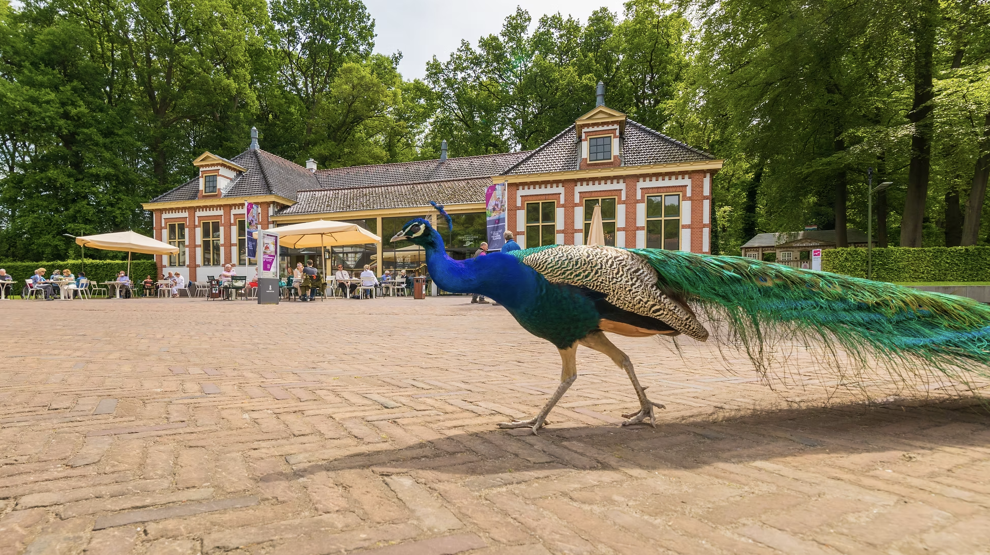 Scherm­afbeelding 2025-12-10 om 12.29.51.png