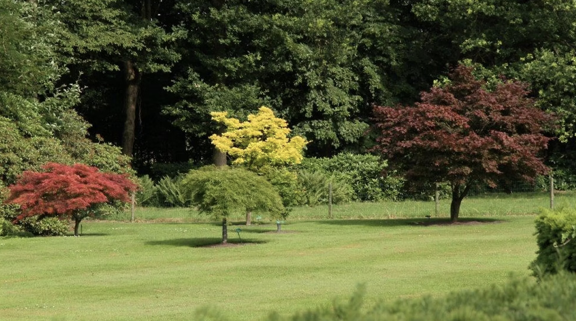 Scherm­afbeelding 2025-12-11 om 14.26.29.png