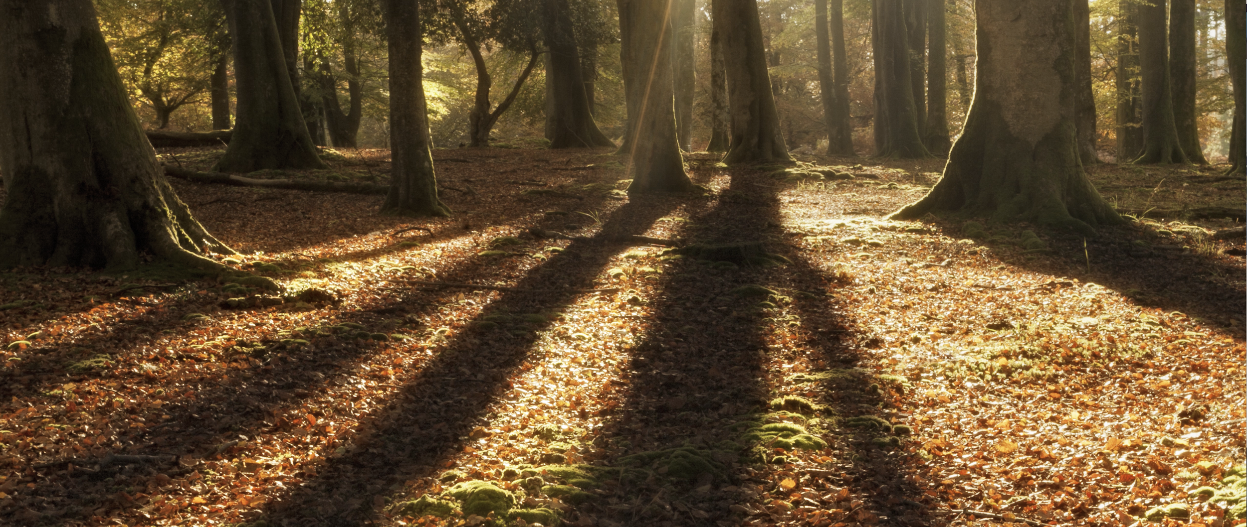 Screenshot 2026-03-04 at 18.35.55.png