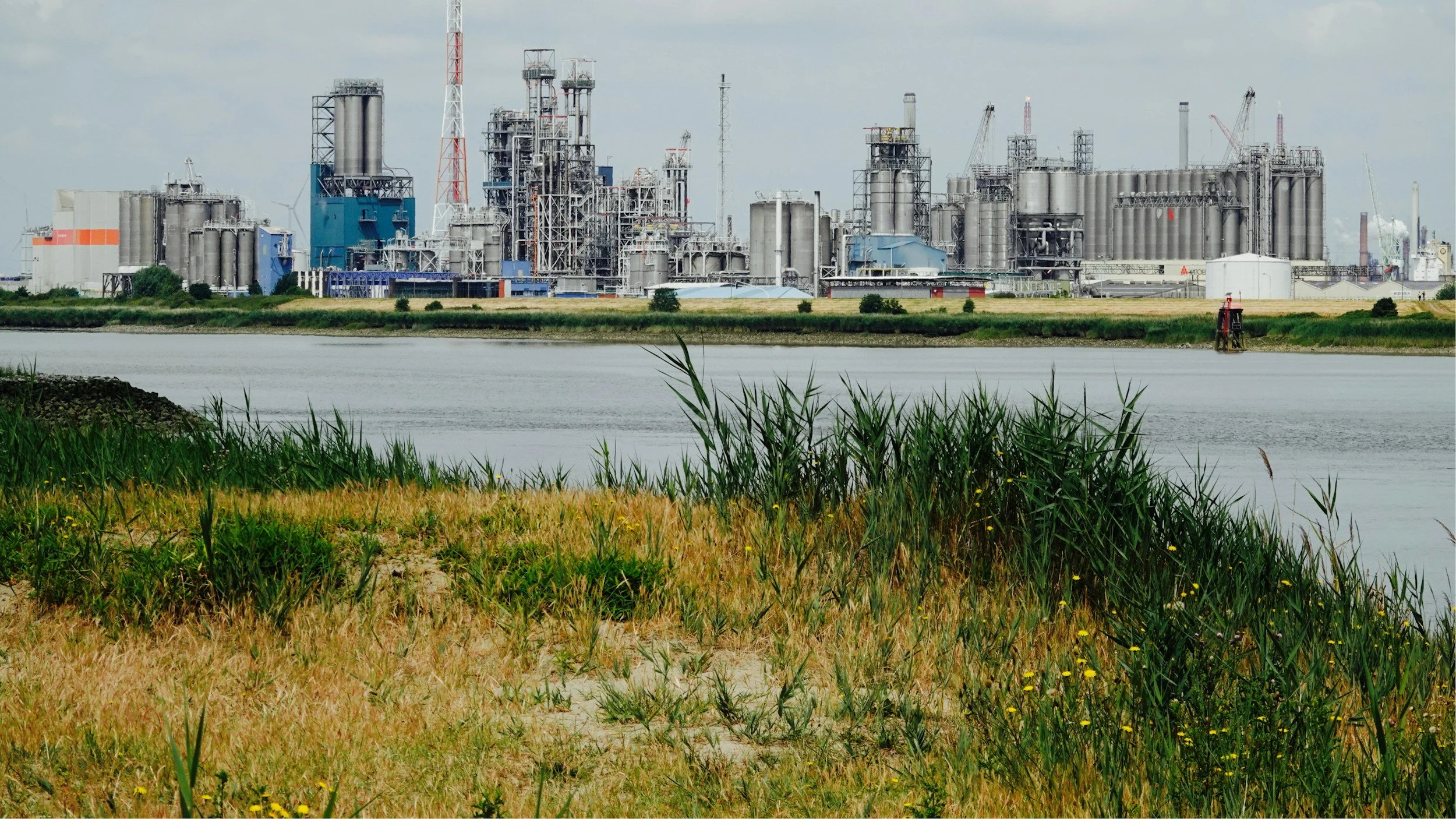 A photo of an oil refinery in the background with a lake and grass in the foreground representing our contaminated land and site remediation services