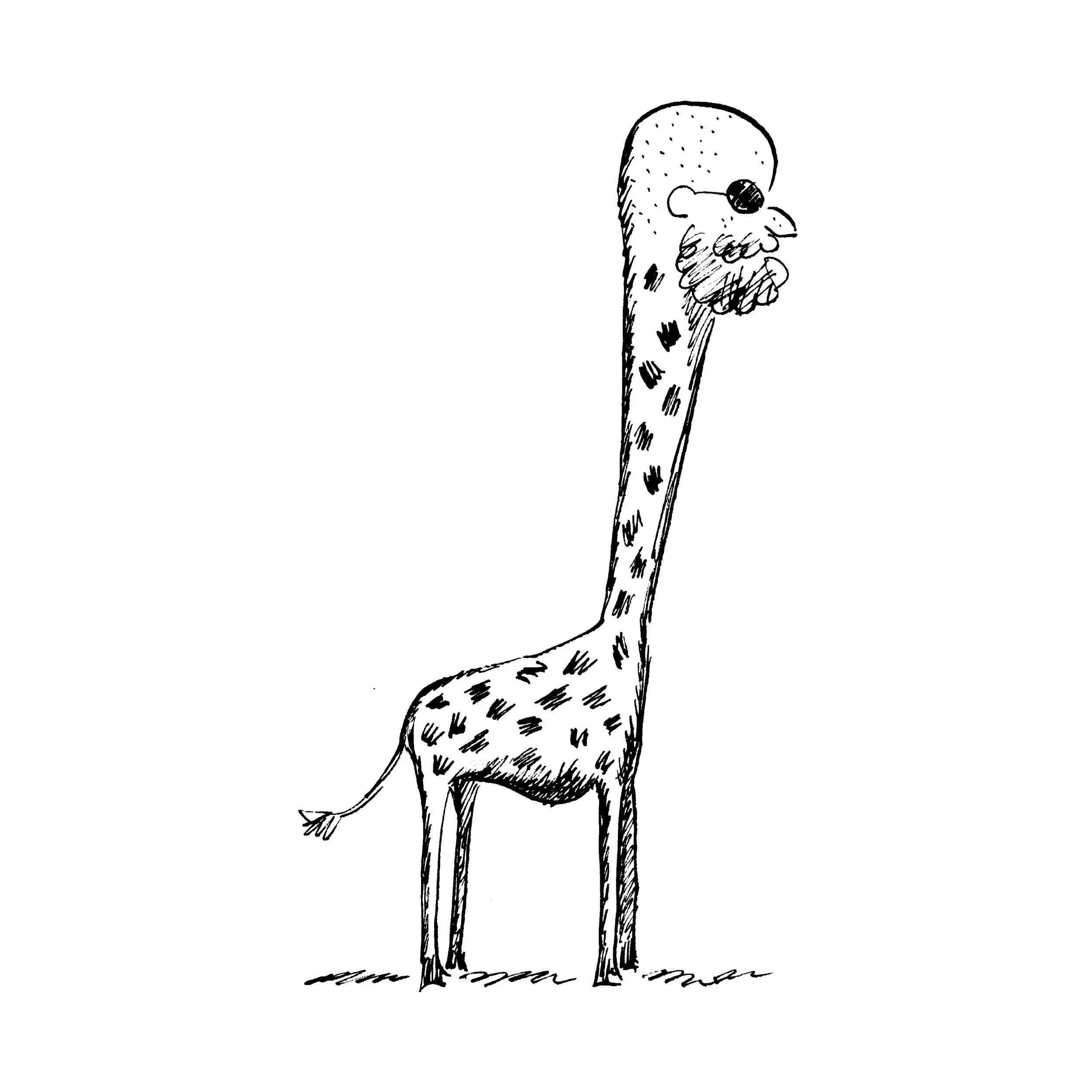 nibs_019.jpg