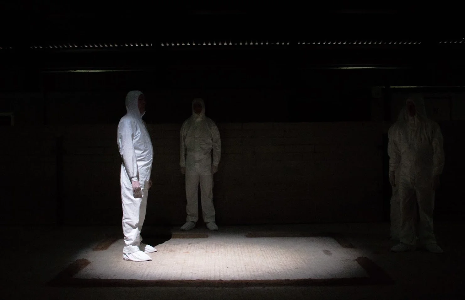 Cast in situ 1 by euan gebler .jpg