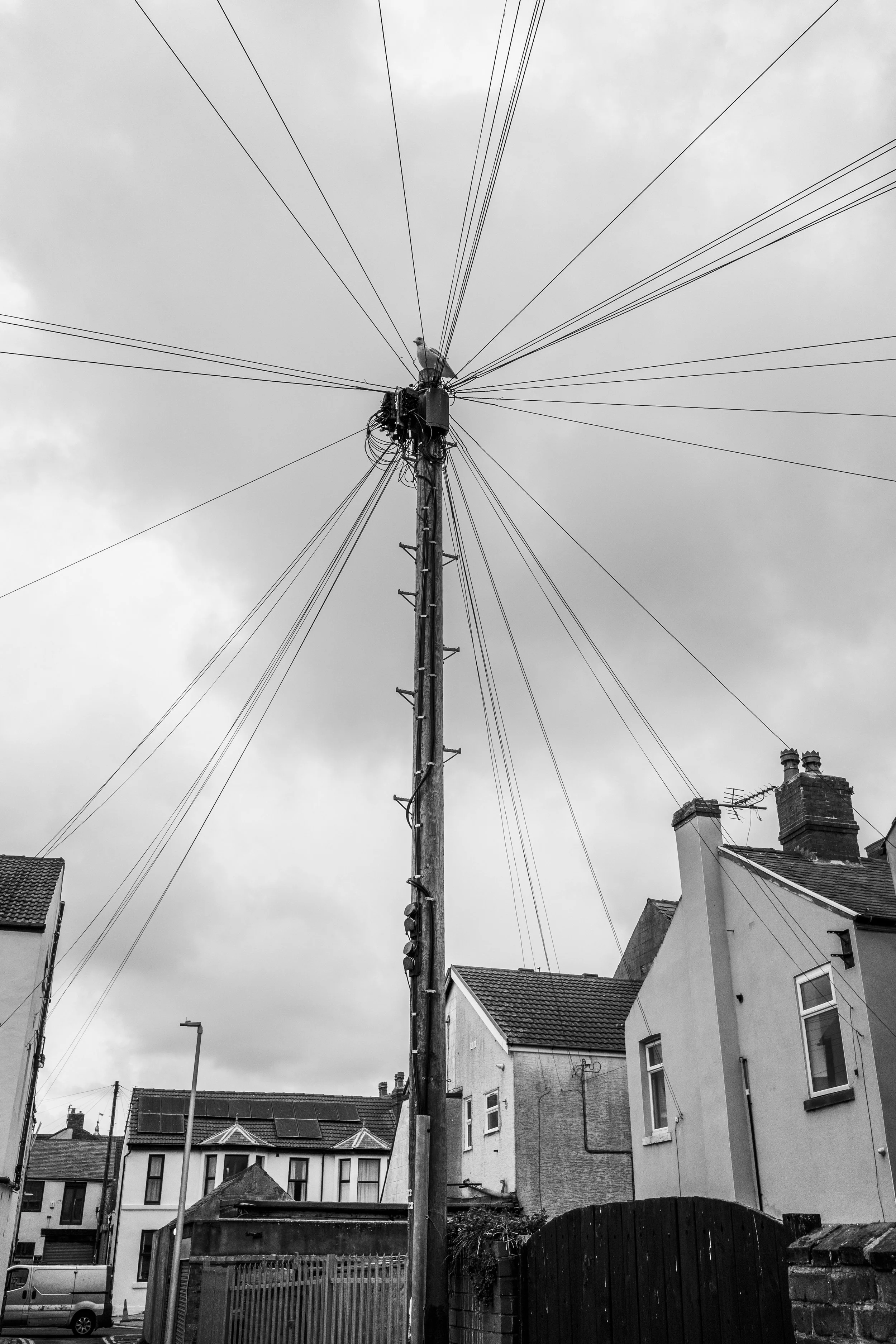 L1003657.jpg