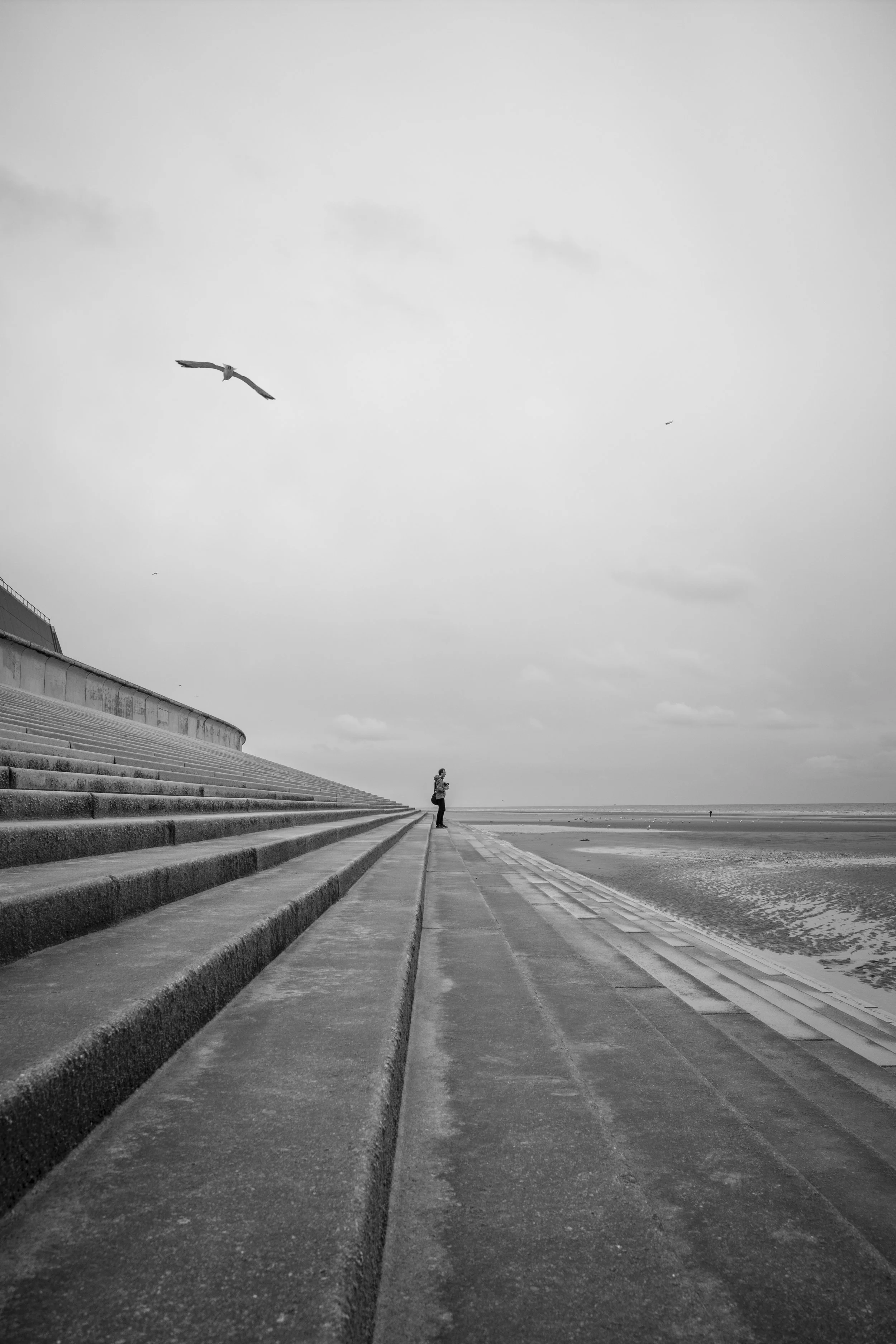 L1003620.jpg