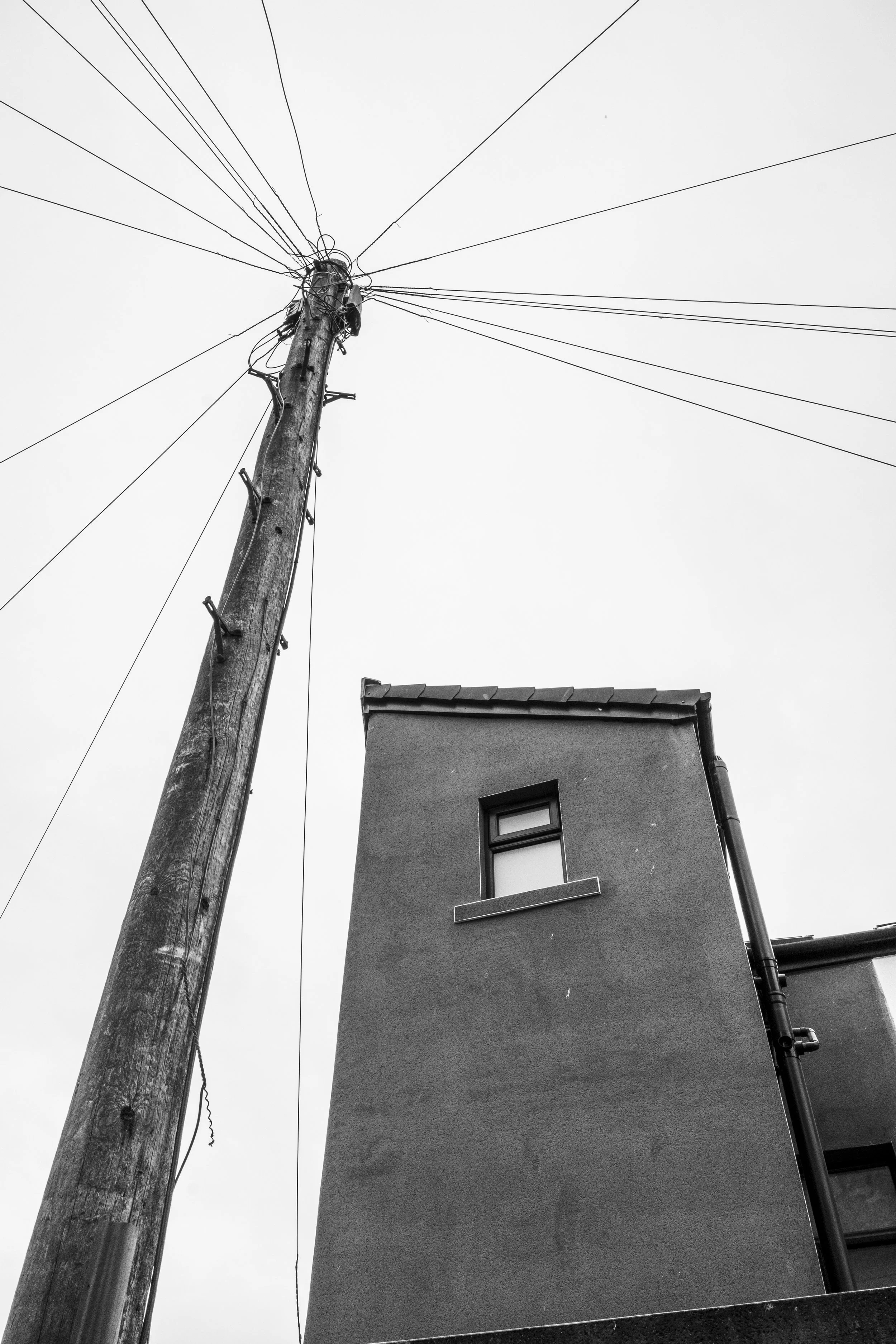 L1003531.jpg