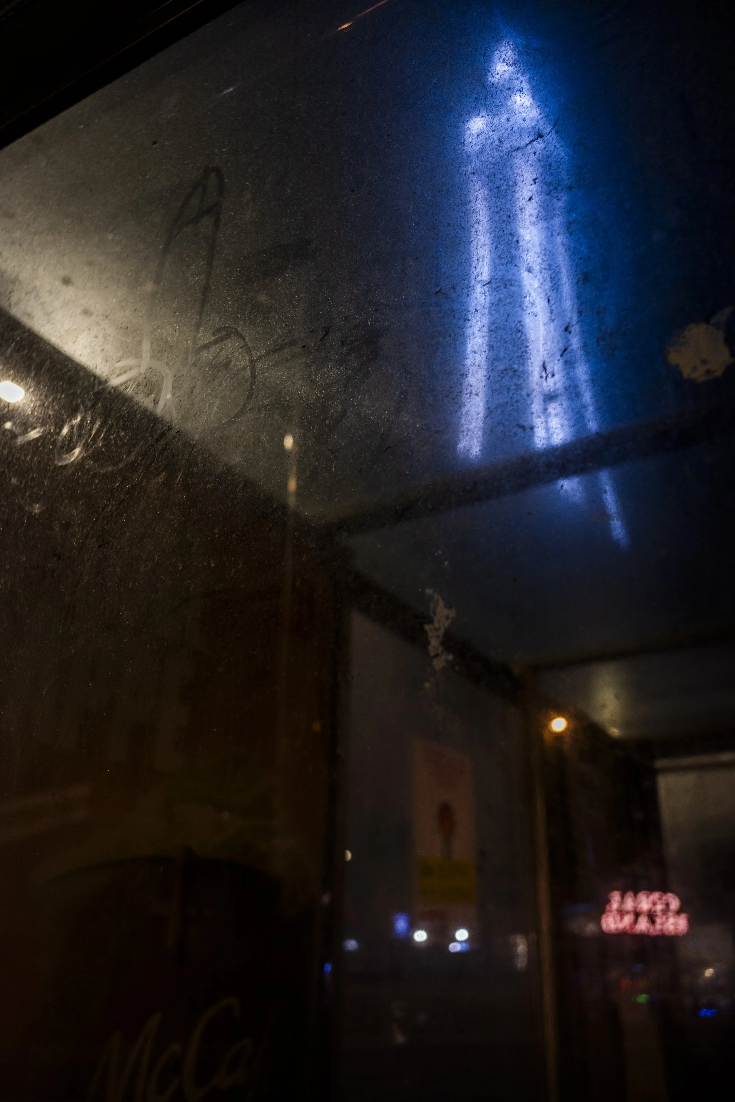 L1003383.jpg