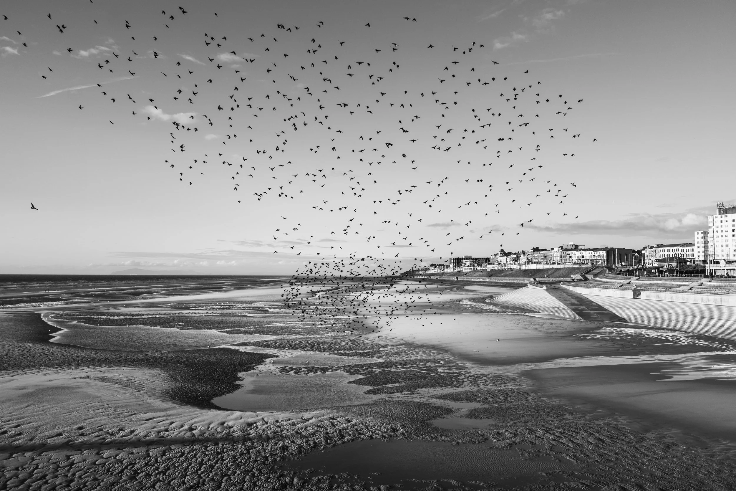 L1003899-Edit.jpg