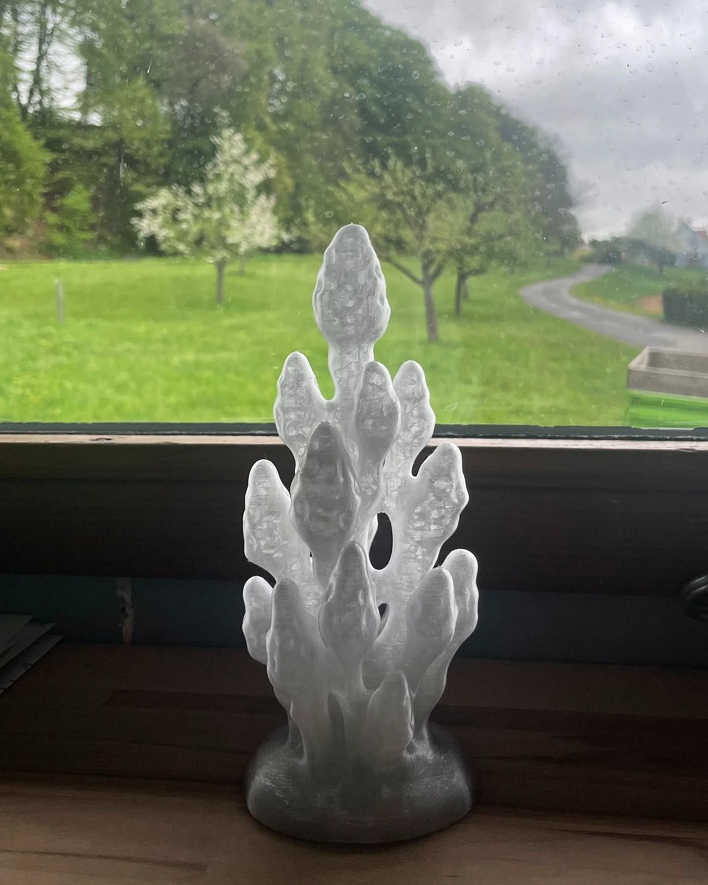 An important thread in @petragarajova &rsquo;s residency at @farmlab.at this spring was her artistic interpretation of the natural elements specific to this place and season.

Among them, the ancient Equisetum&mdash;or horsetail&mdash;stood out as a 