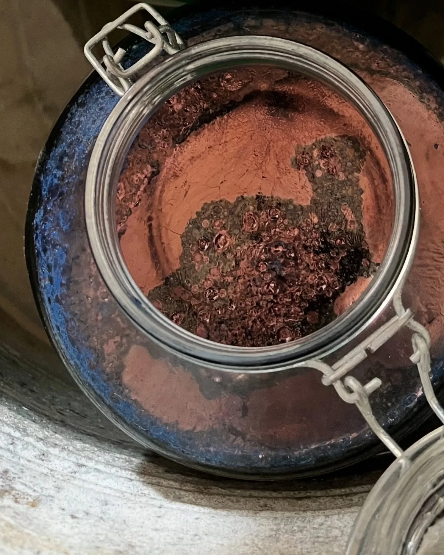 During her @farmlab.at residency, Barbara @art.raba engaged with the FarmLab indigo, the Japanese Persicaria tintoria. 

Unlike other natural dyes, indigo involves no heat. Its transformation takes place in the vat, where the previously extracted pig