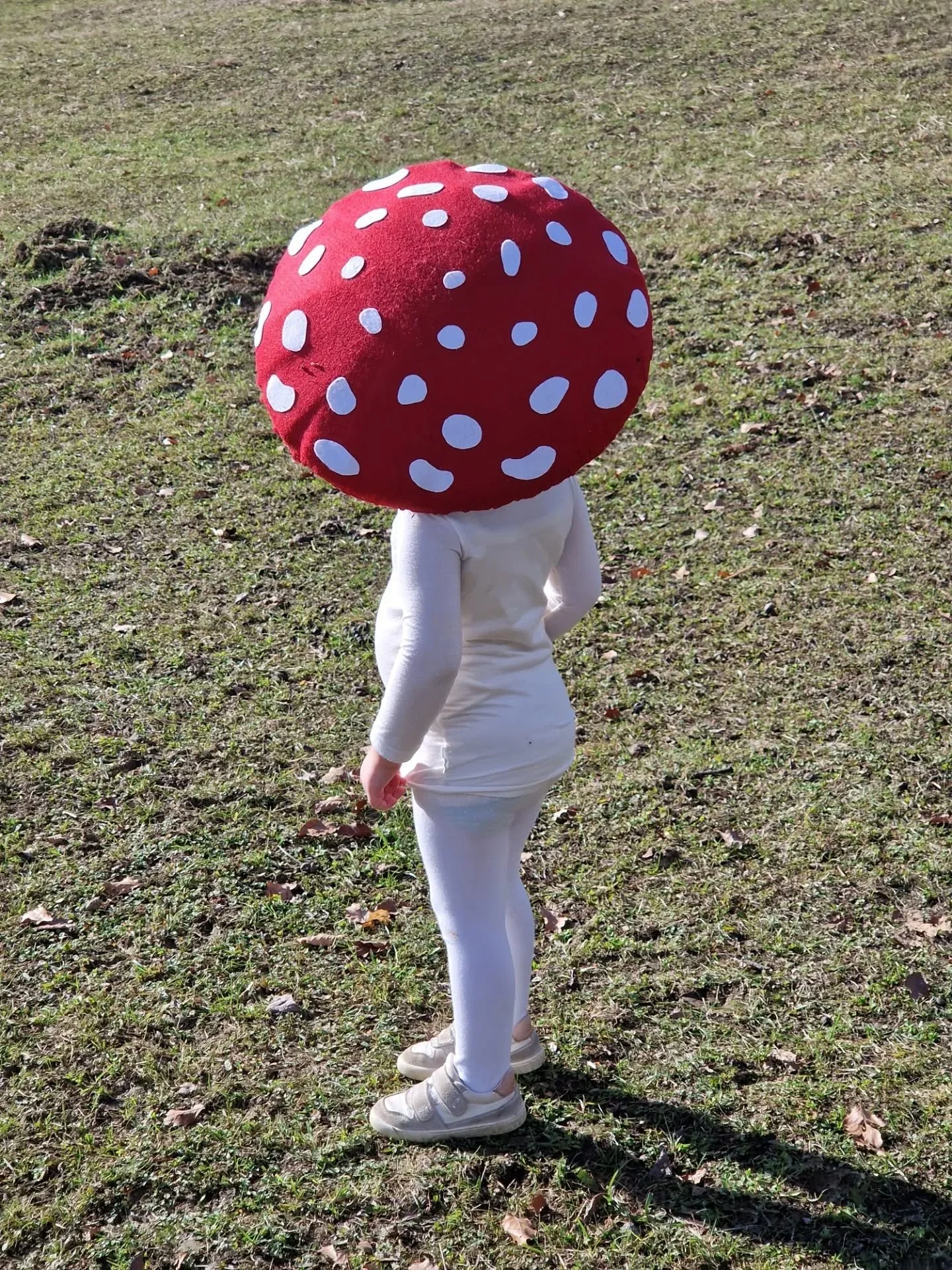 These carneval days a fairy mushroom appeared out of season at the FarmLab...
 🍄 💫 
Original mami made costume 😉 

#amanitamuscaria #flyagaric #mushroomcostume #kinderfasching #diycostume