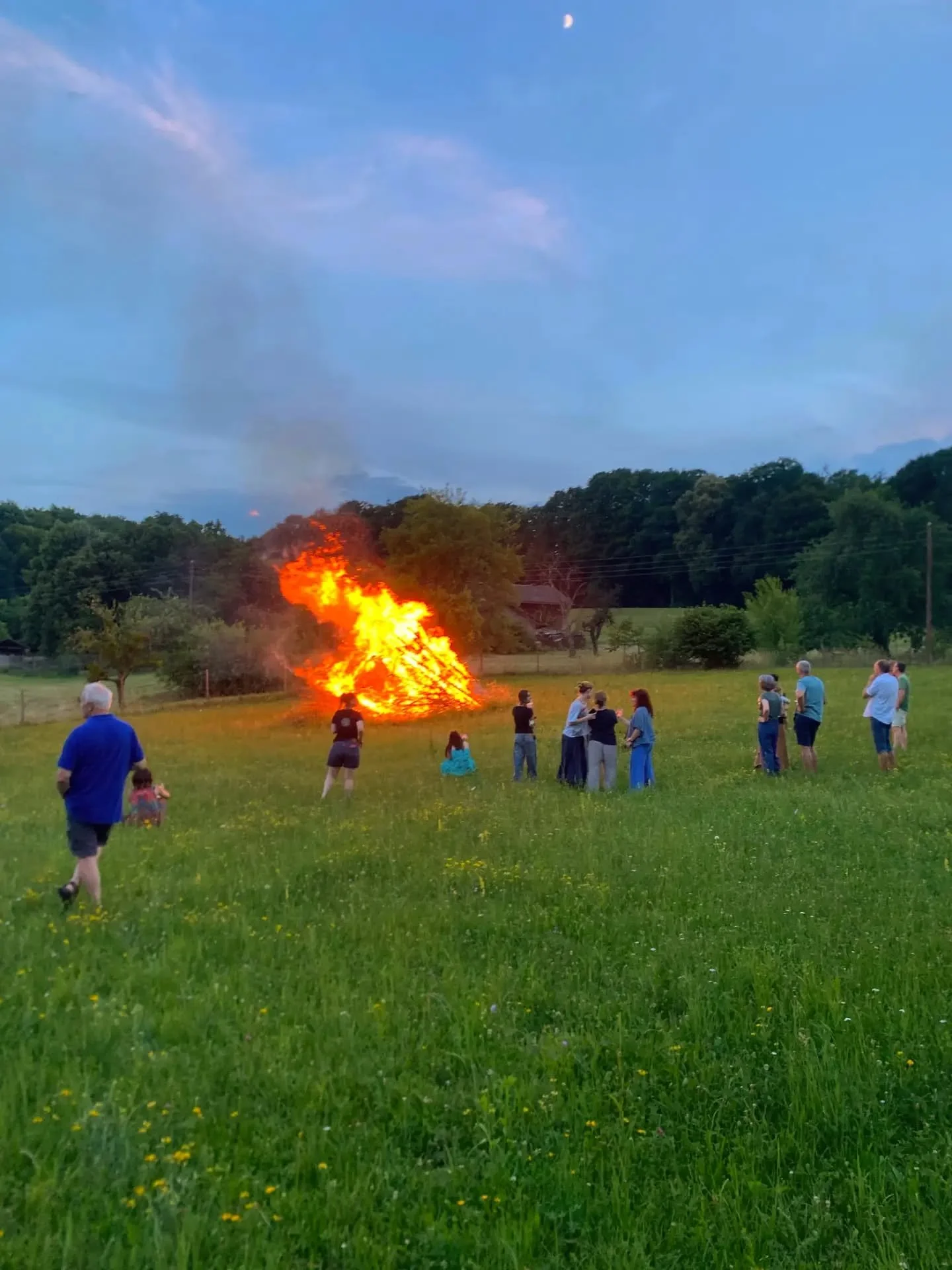 What a day.

More than 90 friends and supporters joined us at the FarmLab Open Day last Sunday to celebrate the summer solstice and discover what has been happening across our workshops, fields and projects over the past months.

Visitors came not on