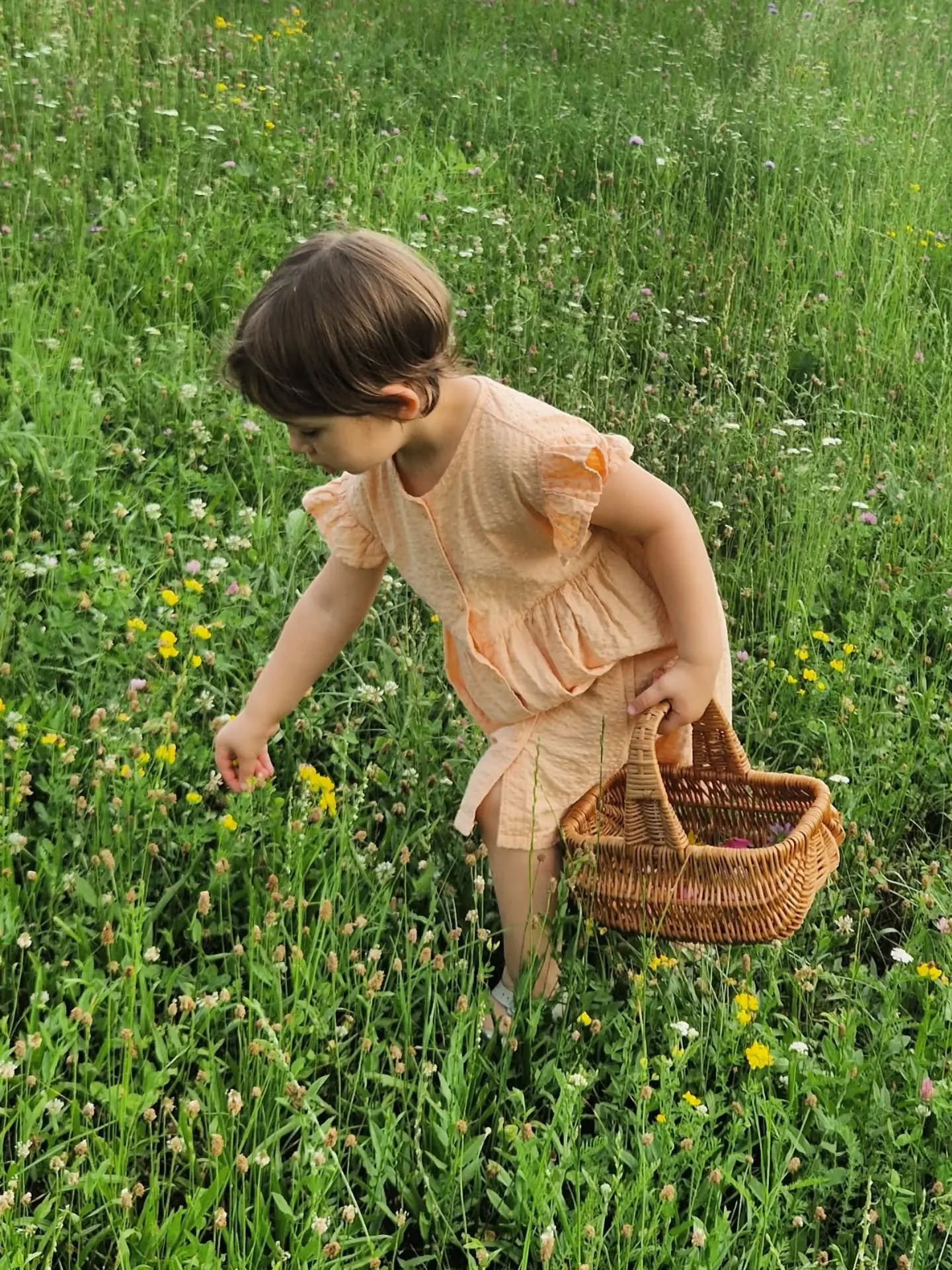 💧 Tonight we prepared "Acqua di San Giovanni", an old tradition from rural Italy, celebrated on the night between the 23rd and 24th of June.

We collected flowers and aromatic herbs from the fields (hypericum, lavender, rose, yarrow, chamo