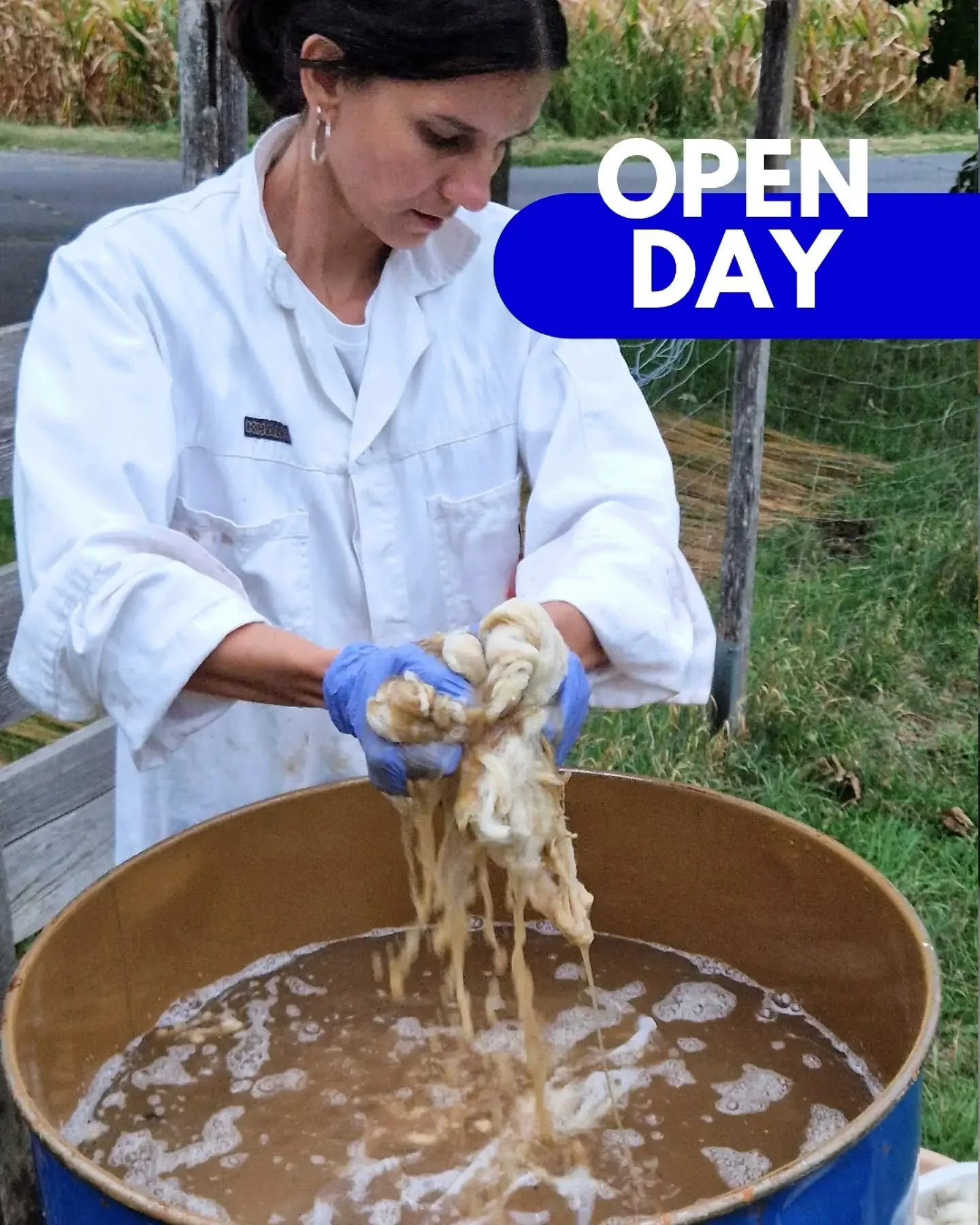 Something has been fermenting at FarmLab over the past weeks, and it is probably not what you would expect: raw wool. 🐑

During our Equinox Open Day, we invite you to discover the fermented suint method, a process that uses the naturally occurring s