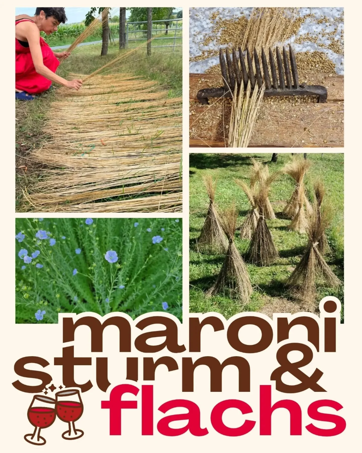 Come celebrate our Flax Fest with Sturm und Maroni! 🌾🌰🍷

Are you a flax lover looking to mingle with fellow flax enthusiasts? Come give us a hand, we need your expertise!

Never tried processing flax, but curious about it? Come discover how flax b