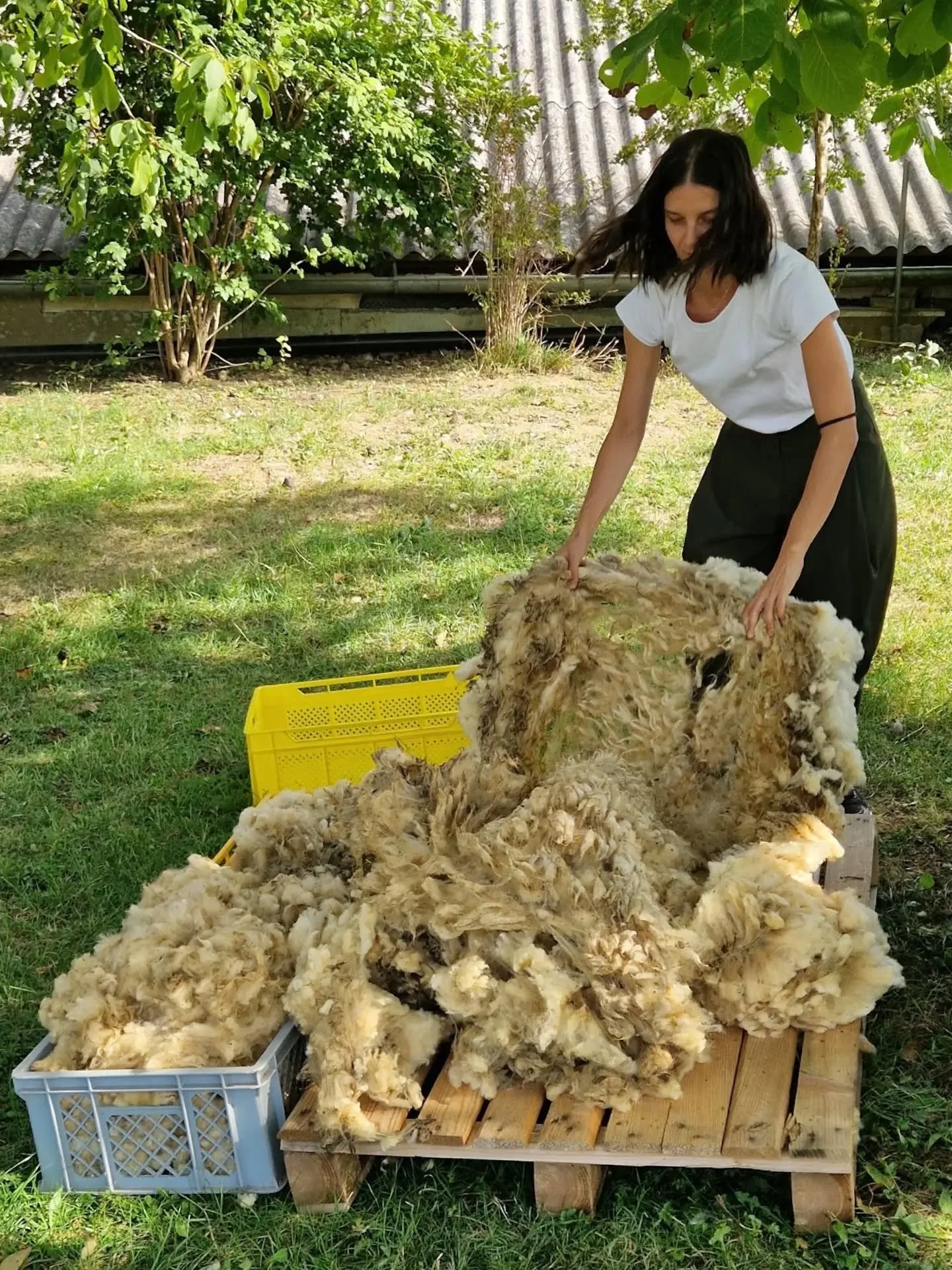 During her three-week residency at @farmlab.at , @martinamuroni experimented with suint fermentation, a traditional, low-energy method of washing raw sheep wool using the microorganisms and natural compounds already present in the fleece. This was a 