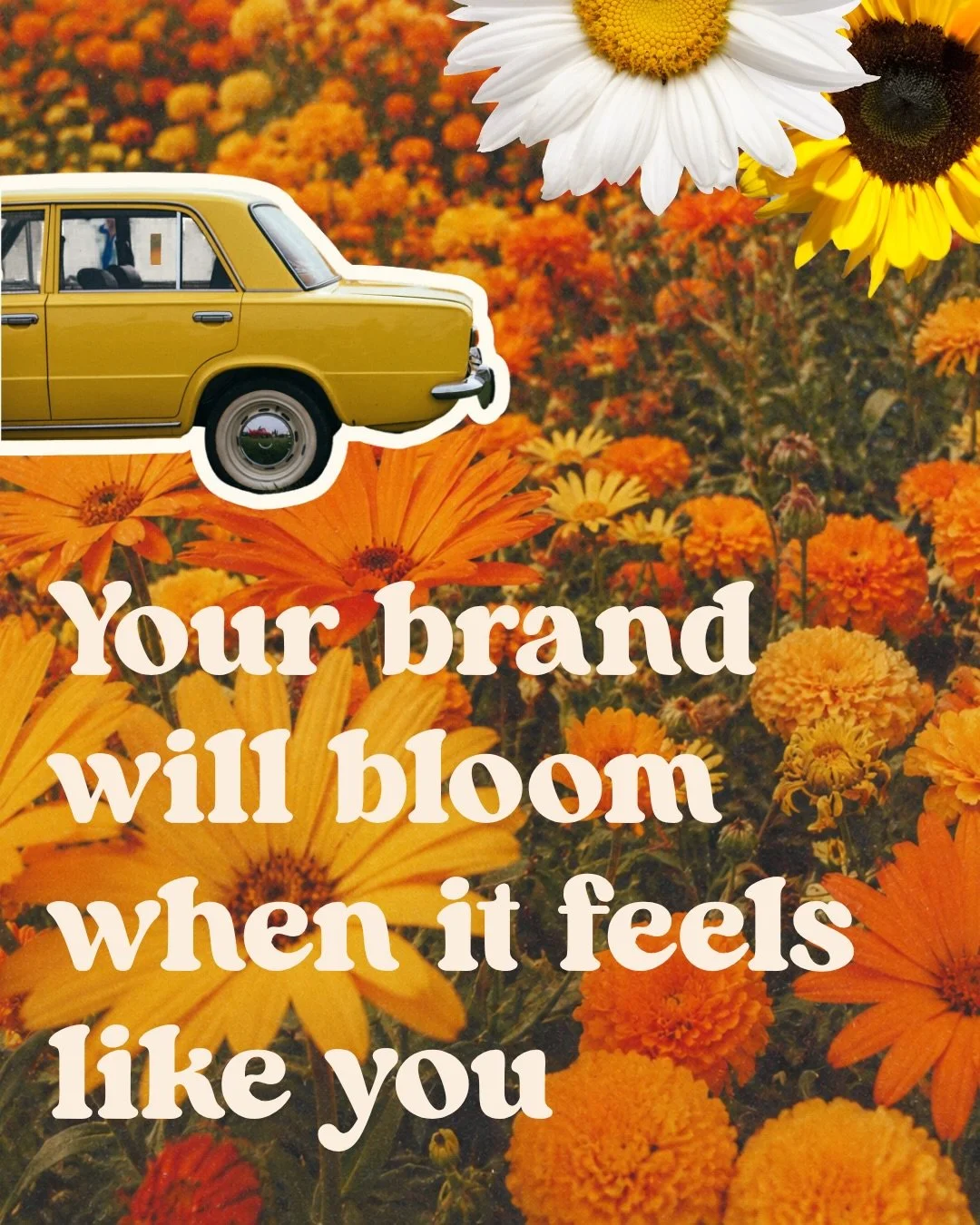 🌼 It starts with a feeling and ends with a bloom 🌼

North Somerset designer, elevate your brand, get in touch to find out how we can work together