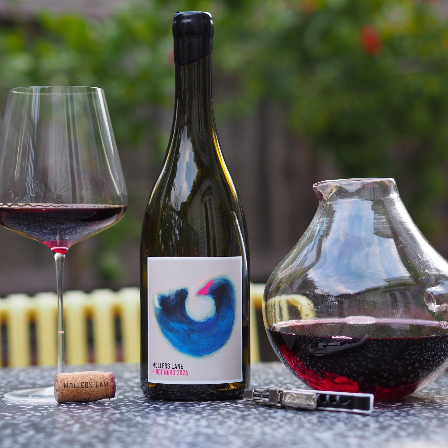 From our inaugural vintage, this limited two-barrel release captures the youthful vibrancy of our young vines. 👉We recommend decanting the wine for 20+ minutes to reveal its full expression—a true testament to the beginning of our winemaking j