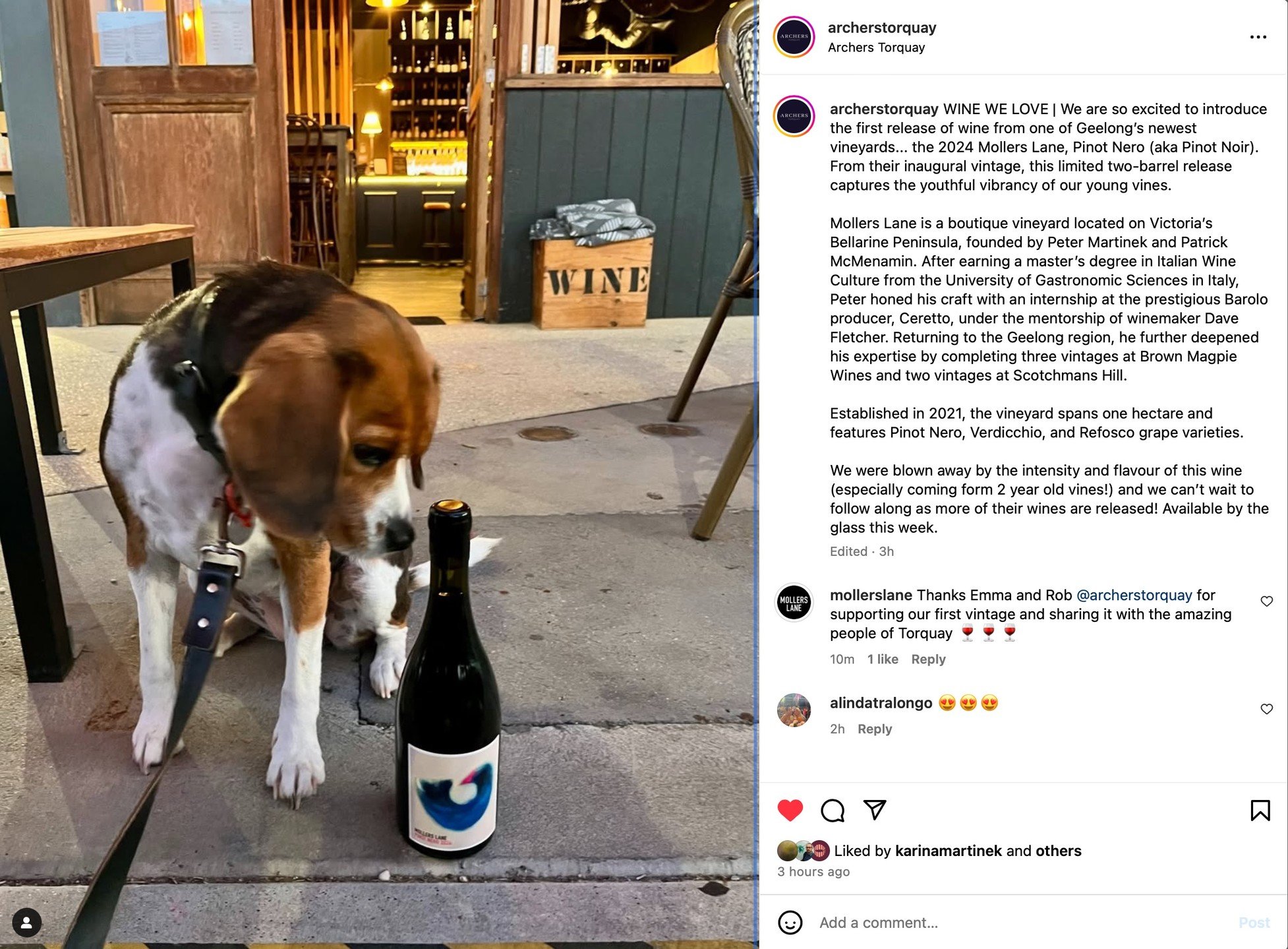 We're thrilled to have been featured by @archerstorquay ! Huge thanks to Emma and Rob for supporting our first vintage and and sharing it with the amazing people of Torquay. Get down to Archers Wine Bar and try this limited release! Hopefully you lov