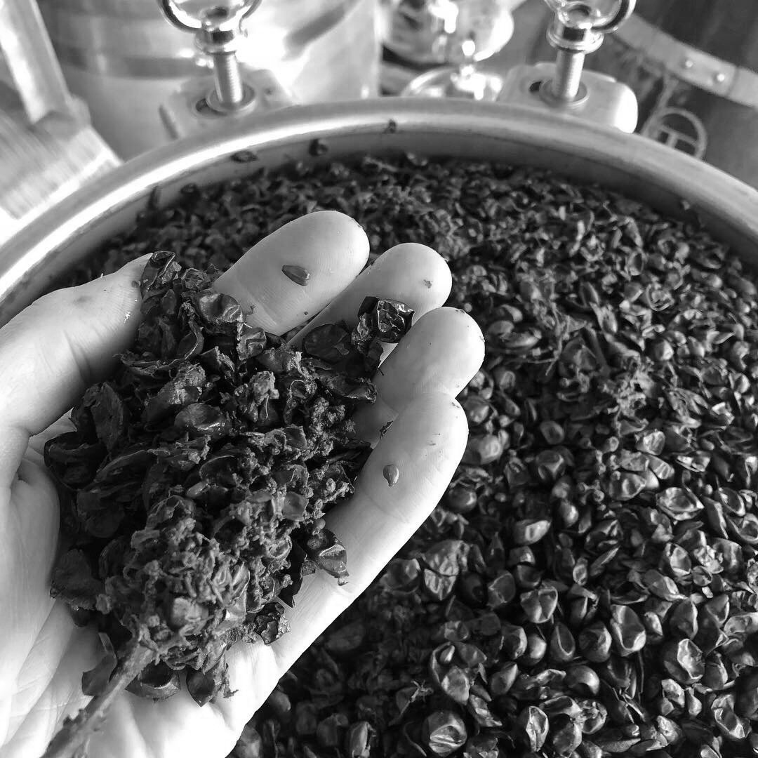 Person holding a handful of dried grapes over a container full of dried grapes, possibly used for winemaking or food processing.