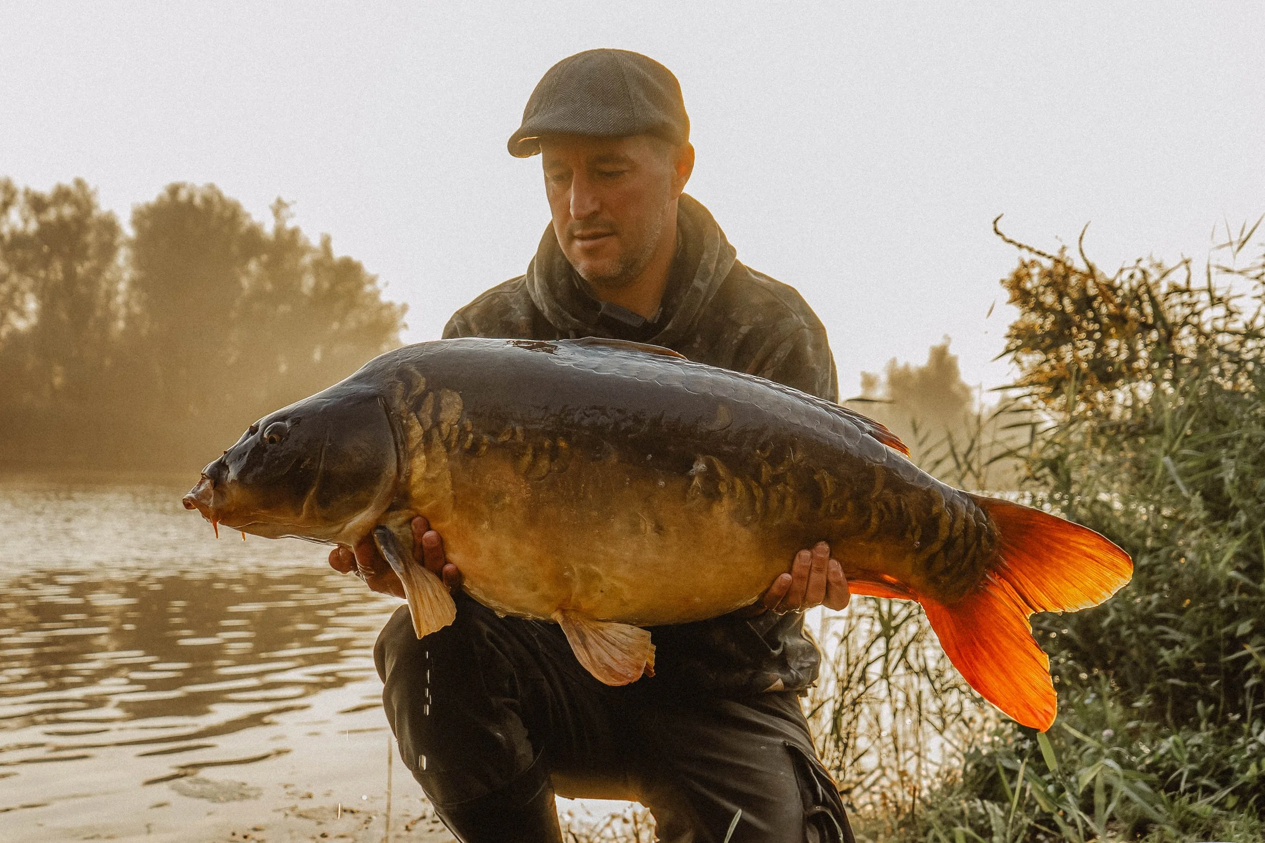 Karpervissen 19-09-041.jpg