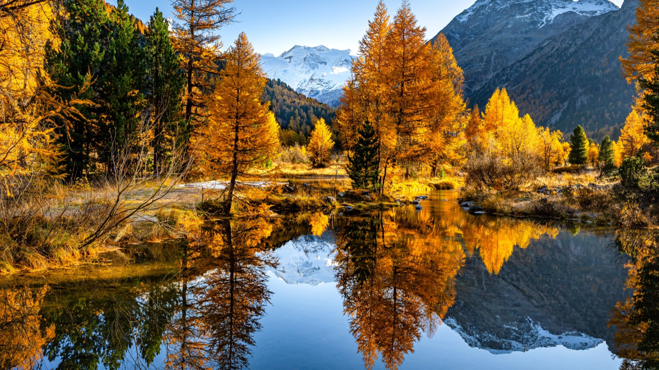 The Forest Phone Call That Changed How I Think About Business Freedom