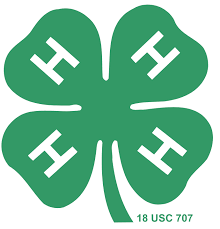 4-H Meeting