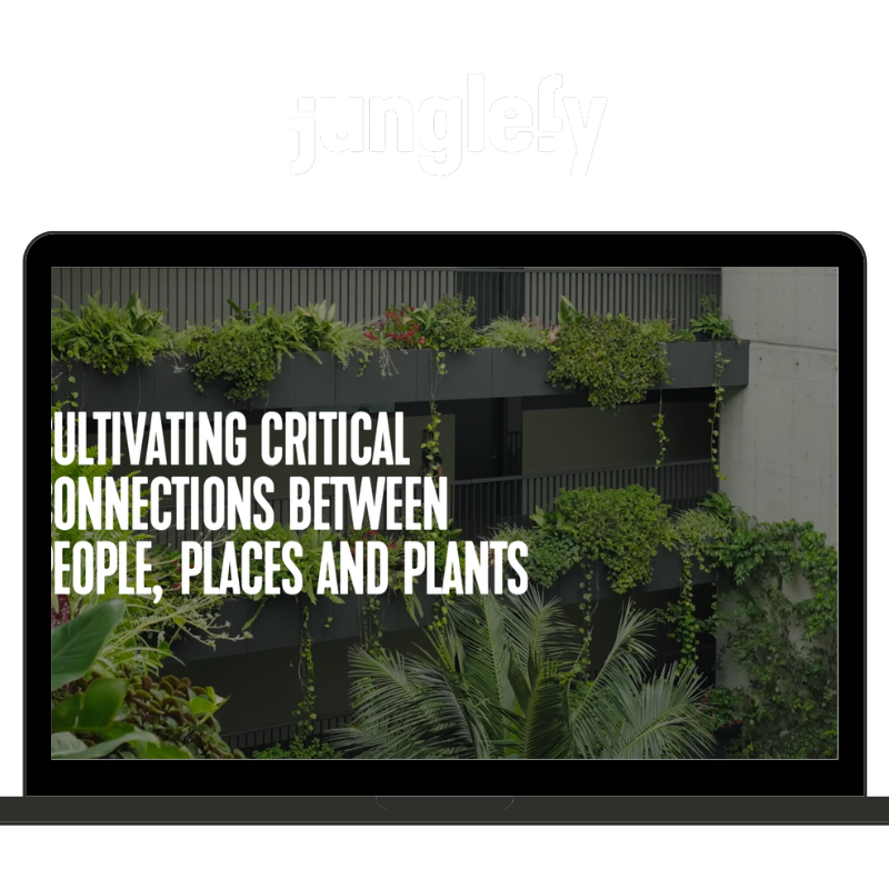 Junglefy.png