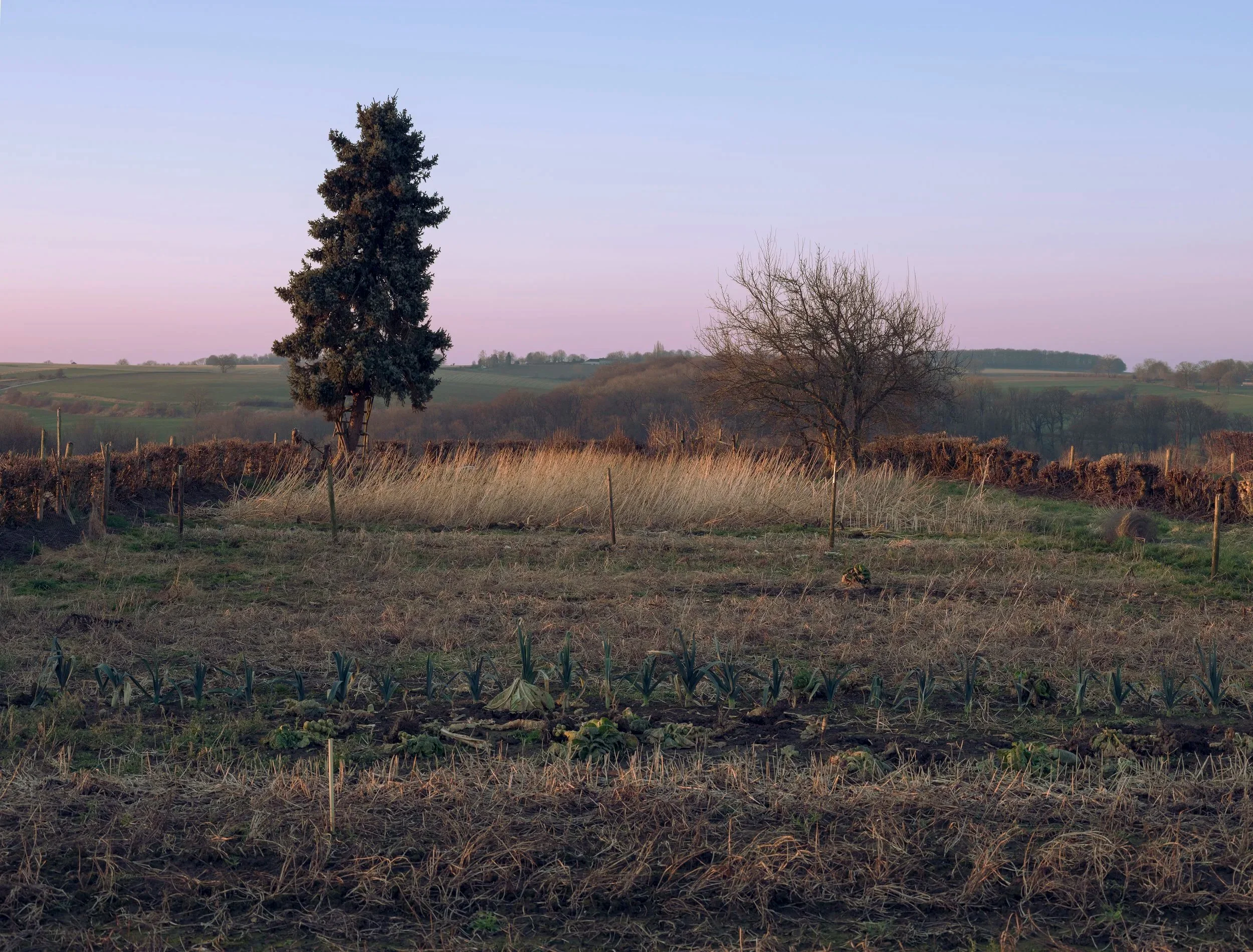 Baneheide 15 februari 2025