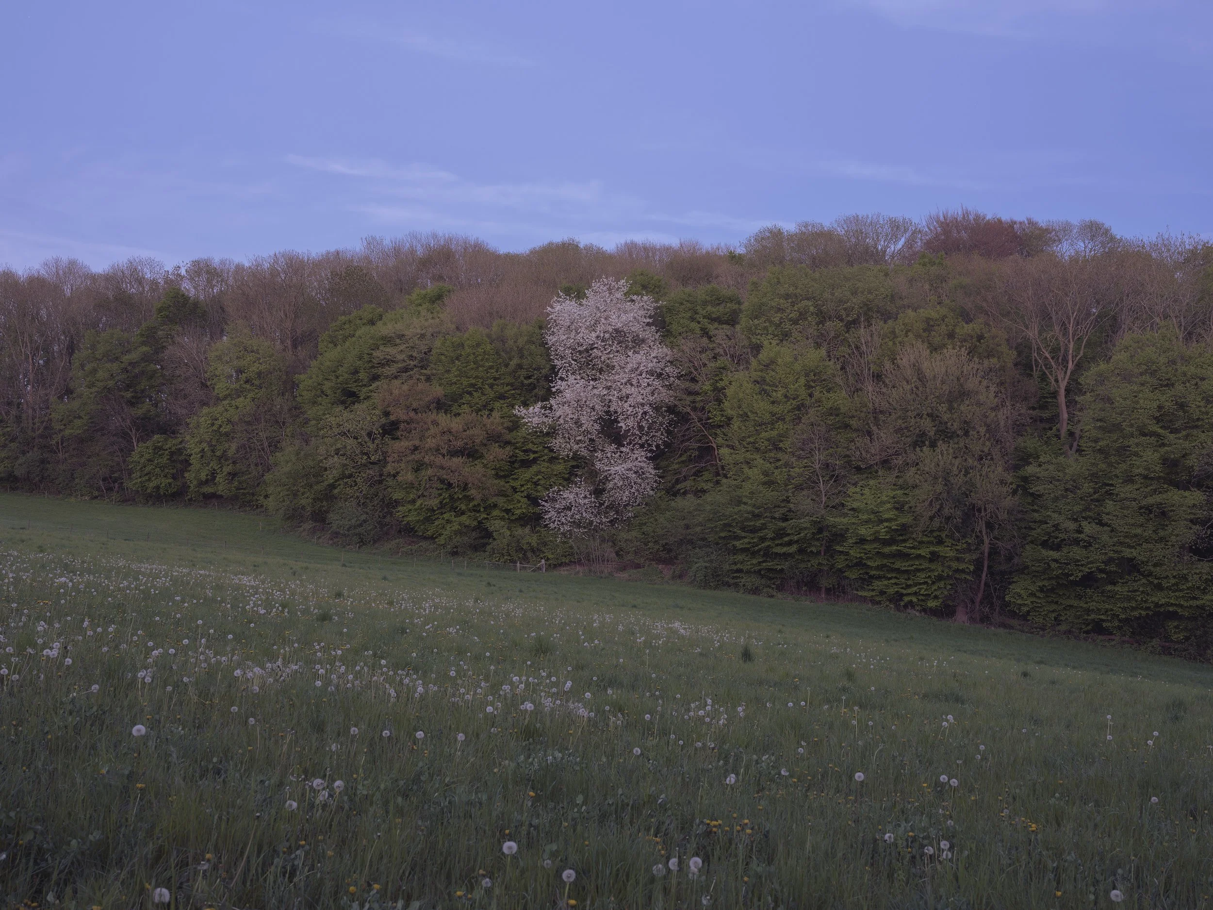 Ubachsberg 21 april 2025